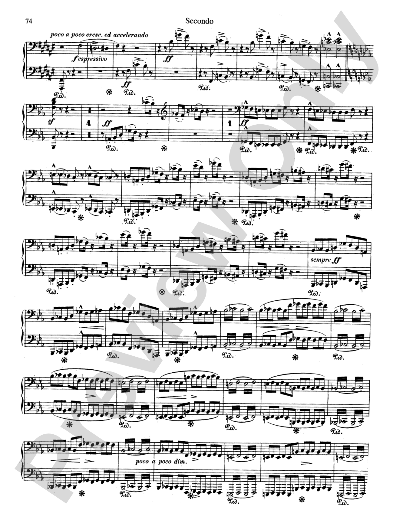 Liszt: Transcriptions of Orchestral Works