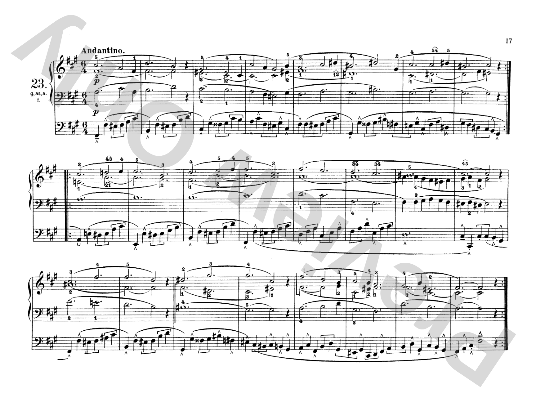 Schneider: Complete Pedal Studies, Op. 48 and 67: Organ Comb Bound Book