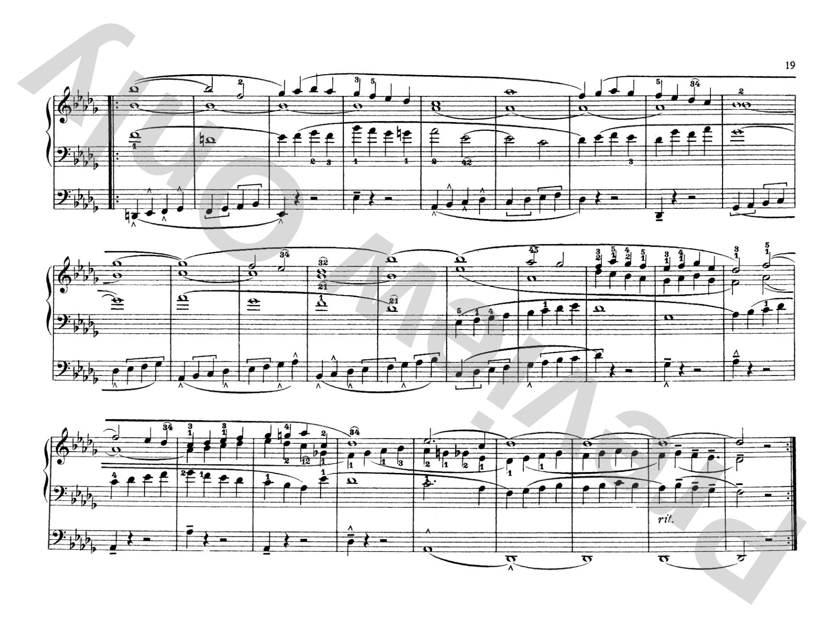 Schneider: Complete Pedal Studies, Op. 48 and 67: Organ Comb Bound Book