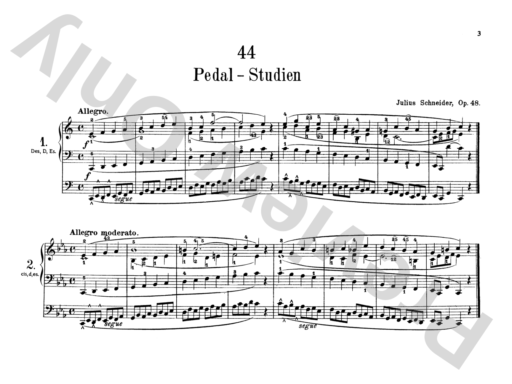 Schneider: Complete Pedal Studies, Op. 48 and 67: Organ Comb Bound Book