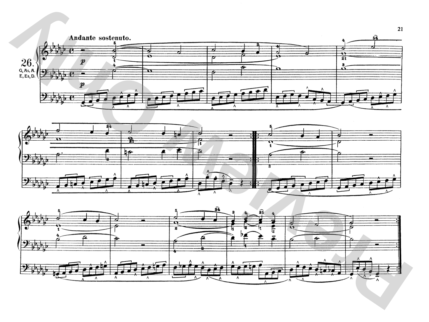 Schneider: Complete Pedal Studies, Op. 48 and 67: Organ Comb Bound Book