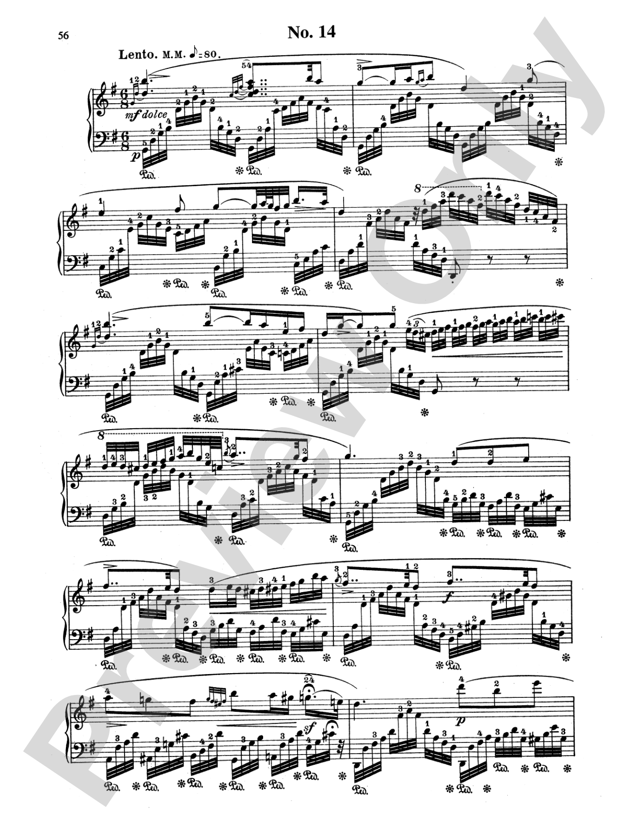 Field: 18 Nocturnes