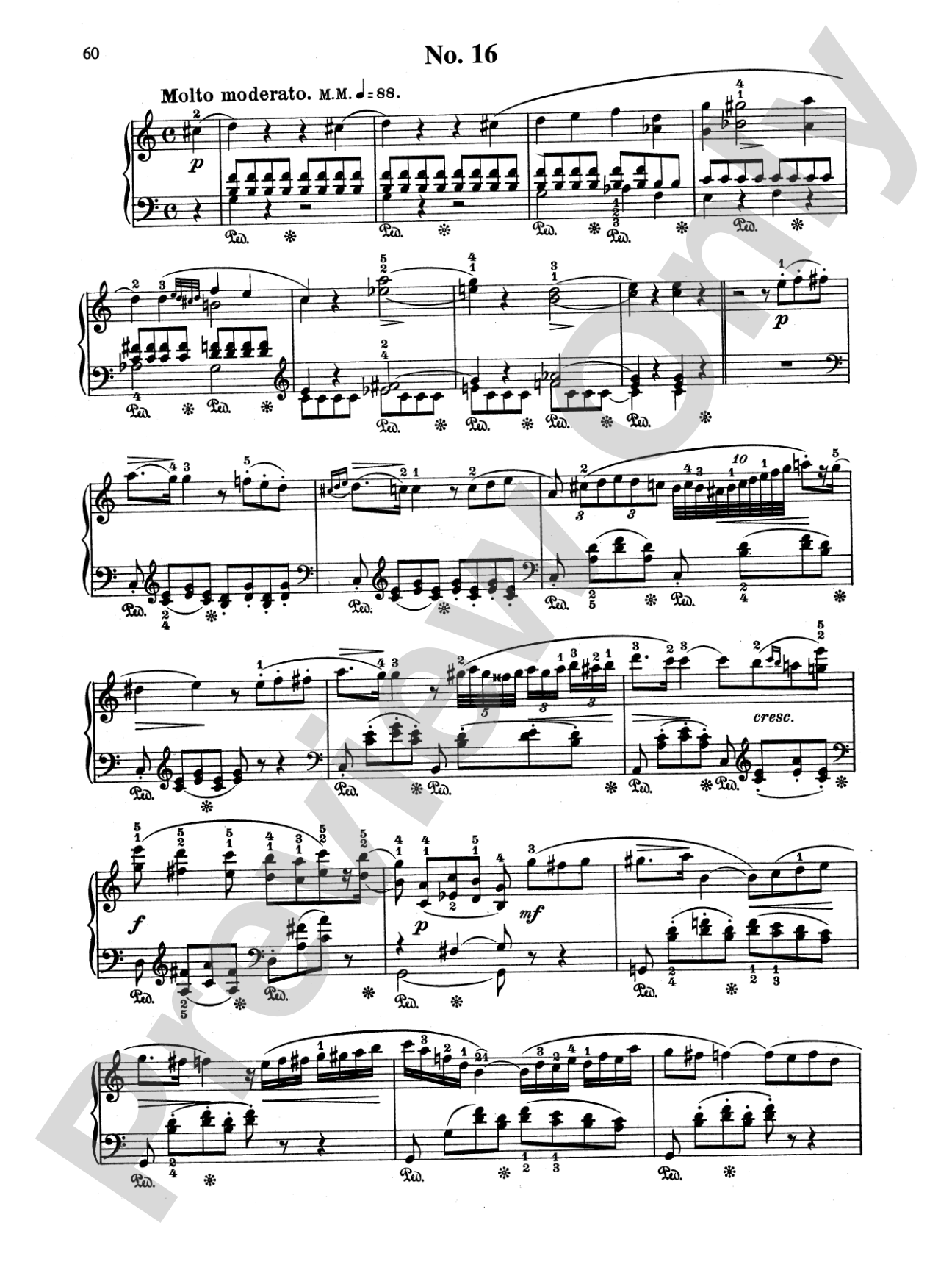 Field: 18 Nocturnes