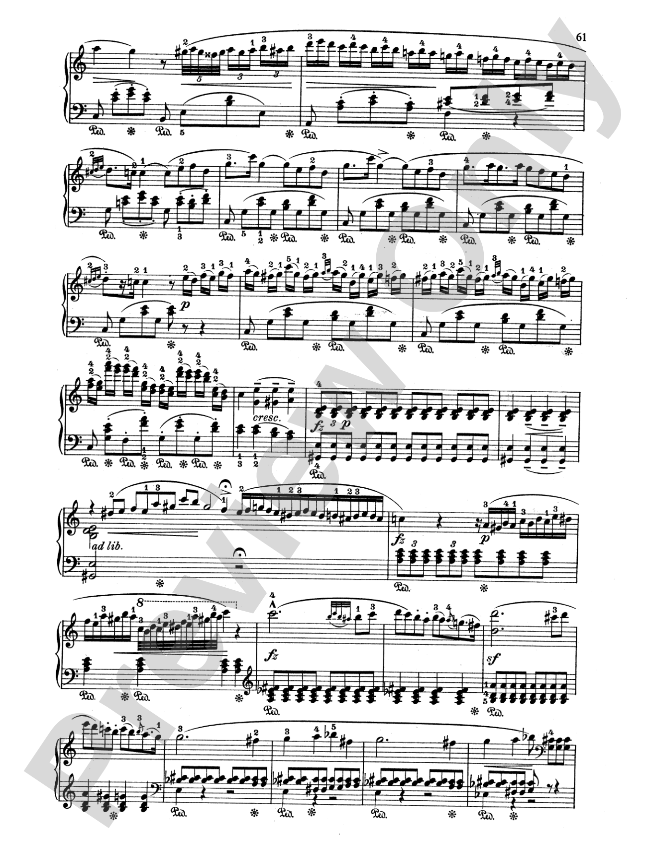 Field: 18 Nocturnes