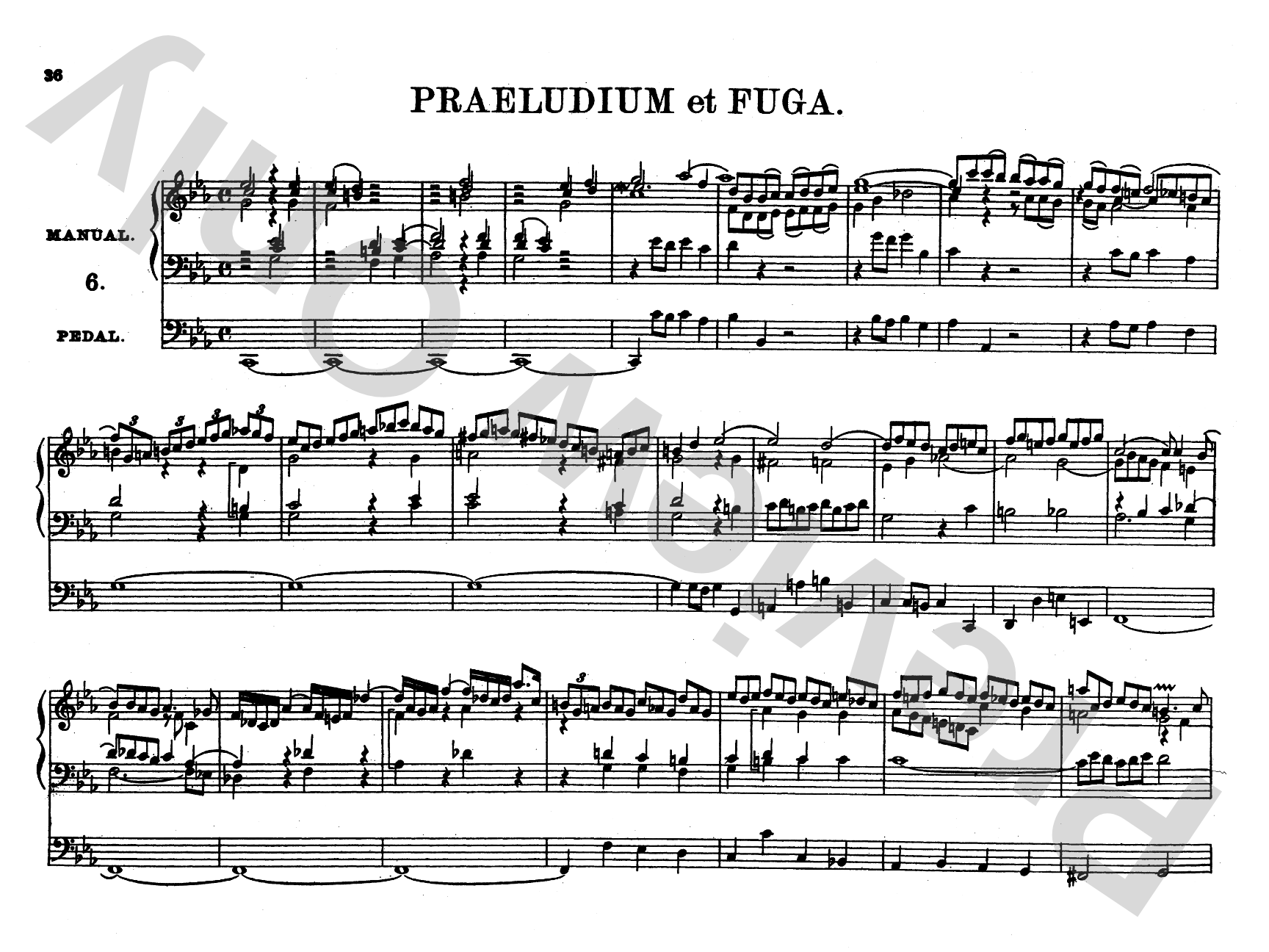 Bach: Complete Organ Works, Volume II
