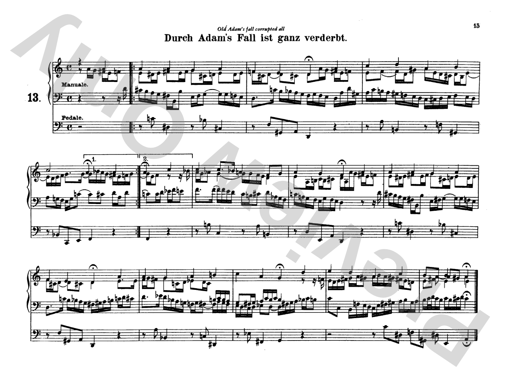 Bach: Complete Organ Works, Volume V: Organ Comb Bound Book