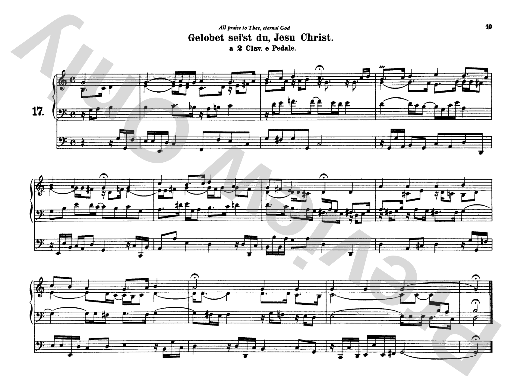 Bach: Complete Organ Works, Volume V: Organ Comb Bound Book