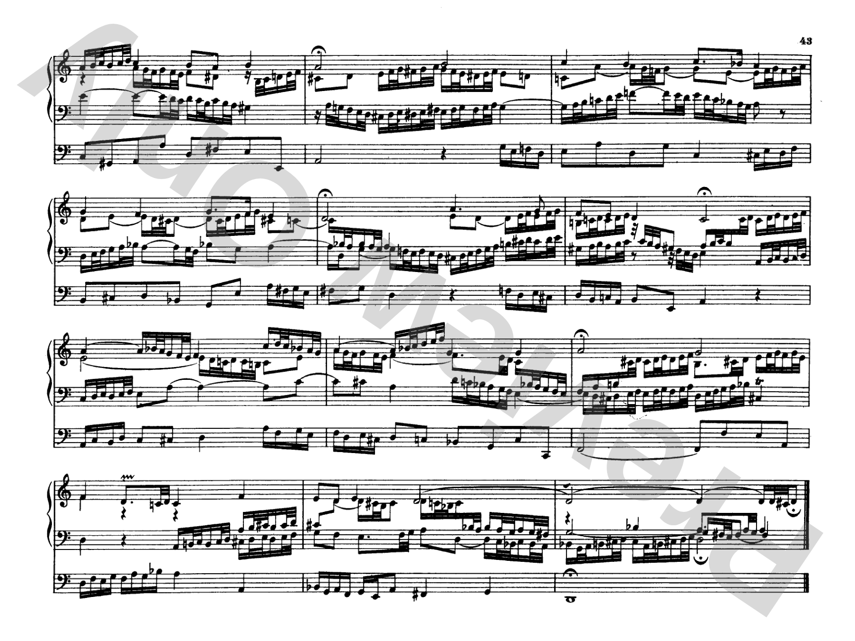 Bach: Complete Organ Works, Volume V: Organ Comb Bound Book