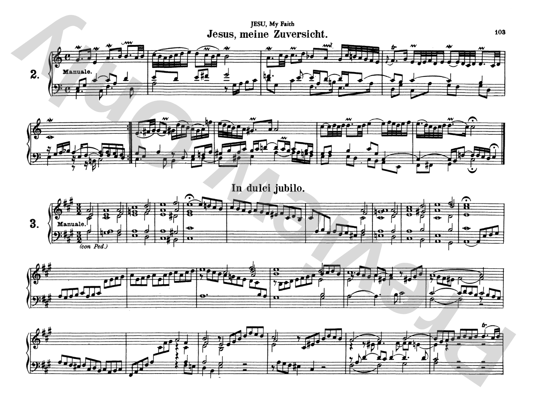 Bach: Complete Organ Works, Volume V