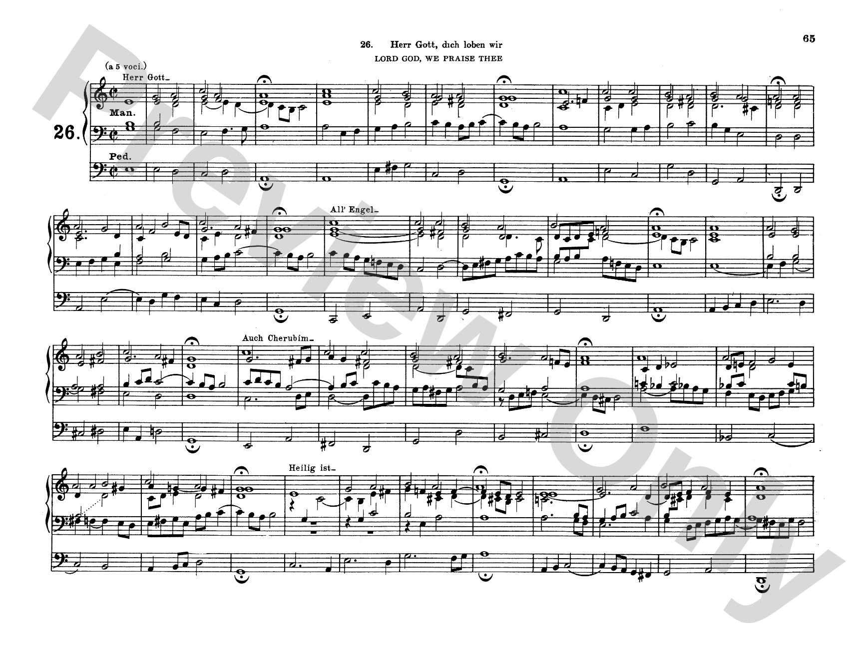 Bach: Complete Organ Works, Volume VI
