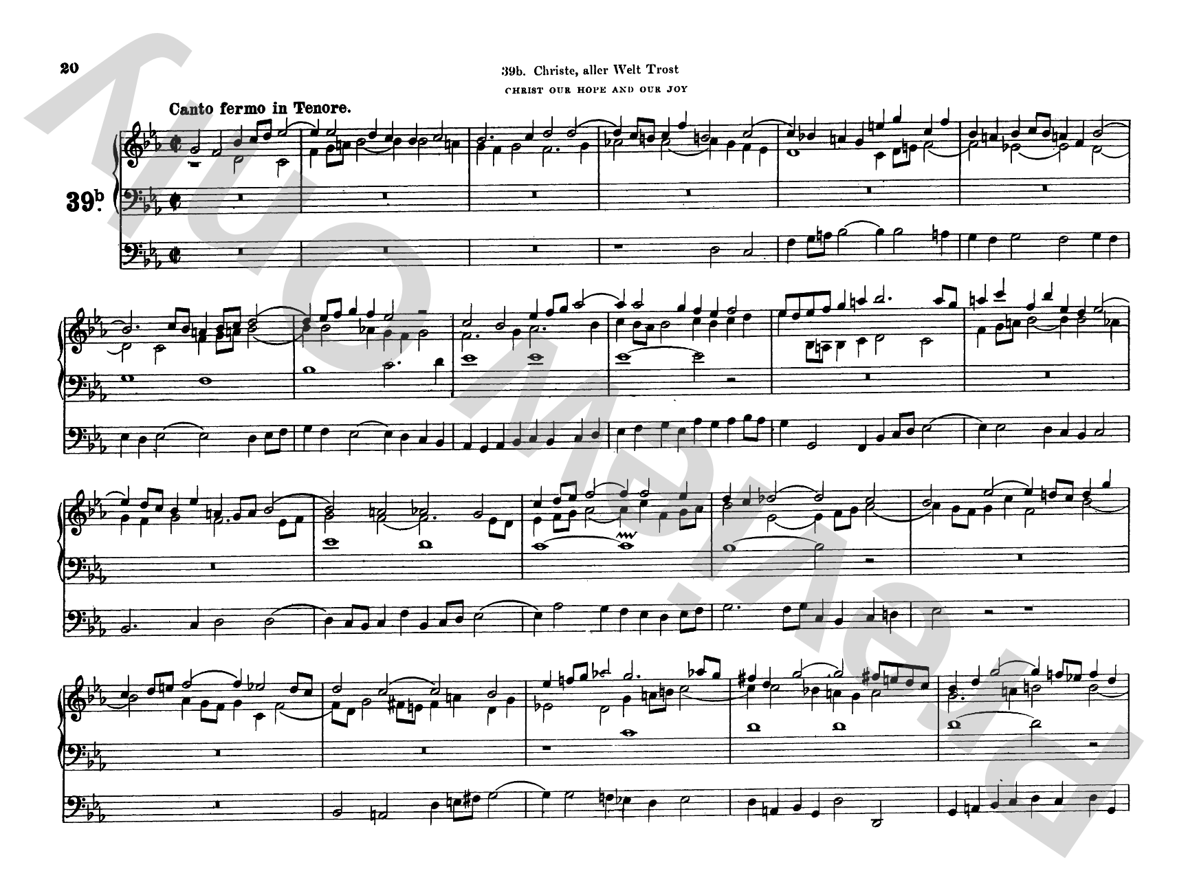 Bach: Complete Organ Works, Volume VII