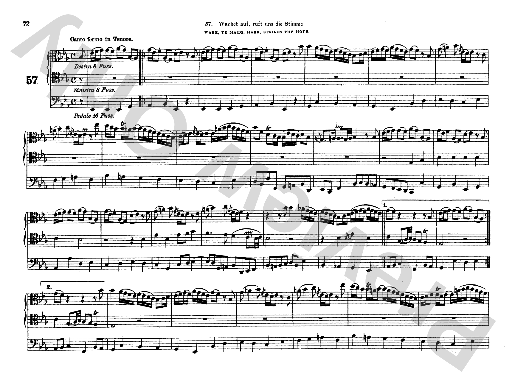 Bach: Complete Organ Works, Volume VII