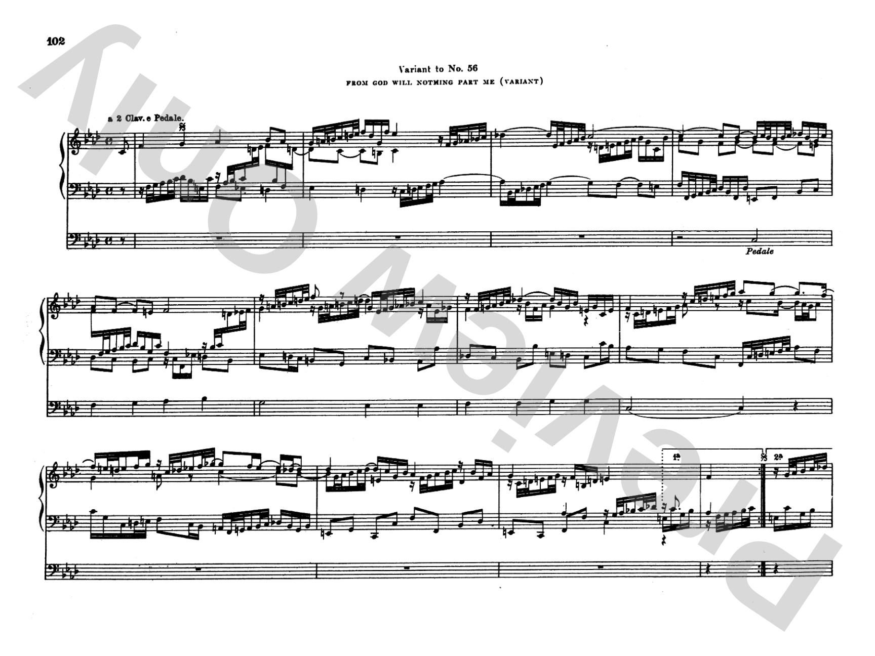 Bach: Complete Organ Works, Volume VII