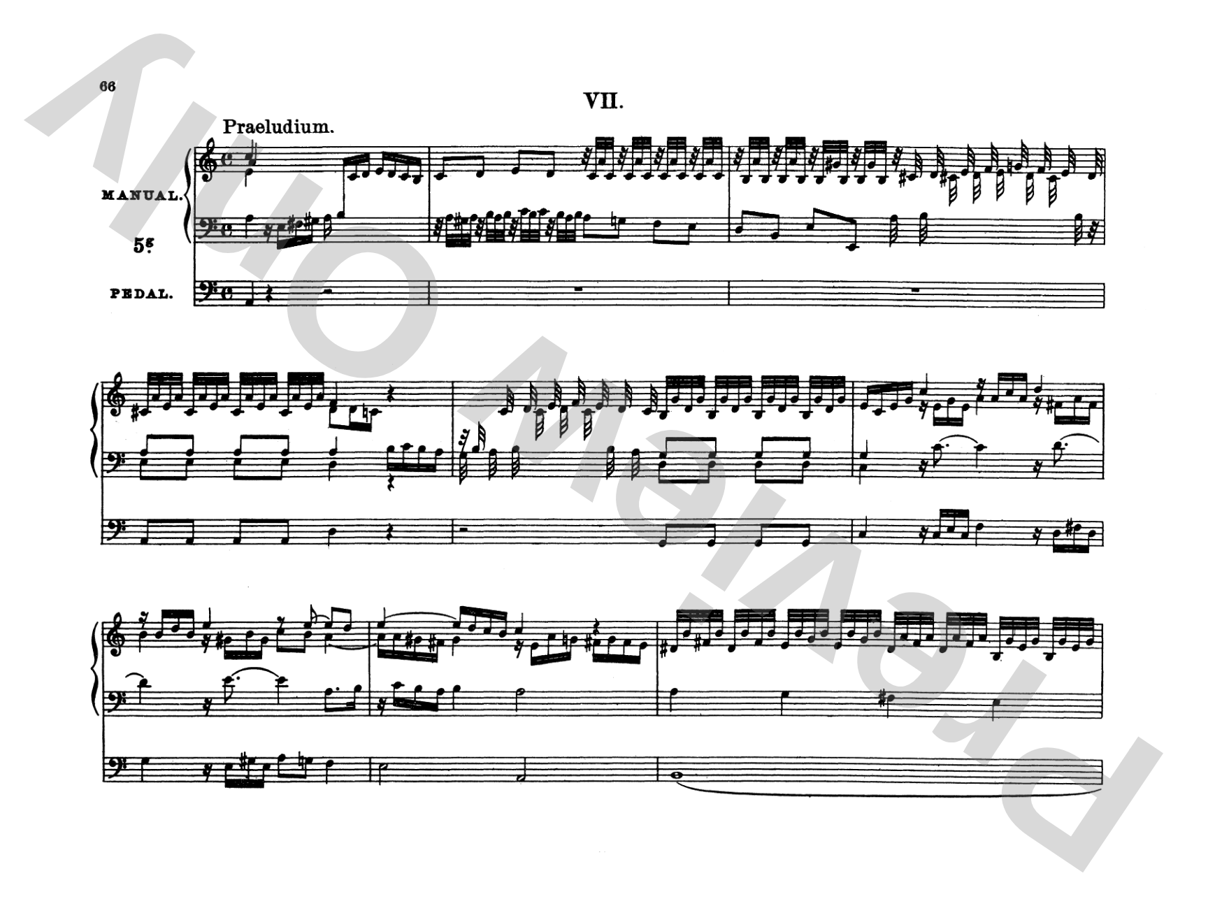 Bach: Complete Organ Works, Volume VIII