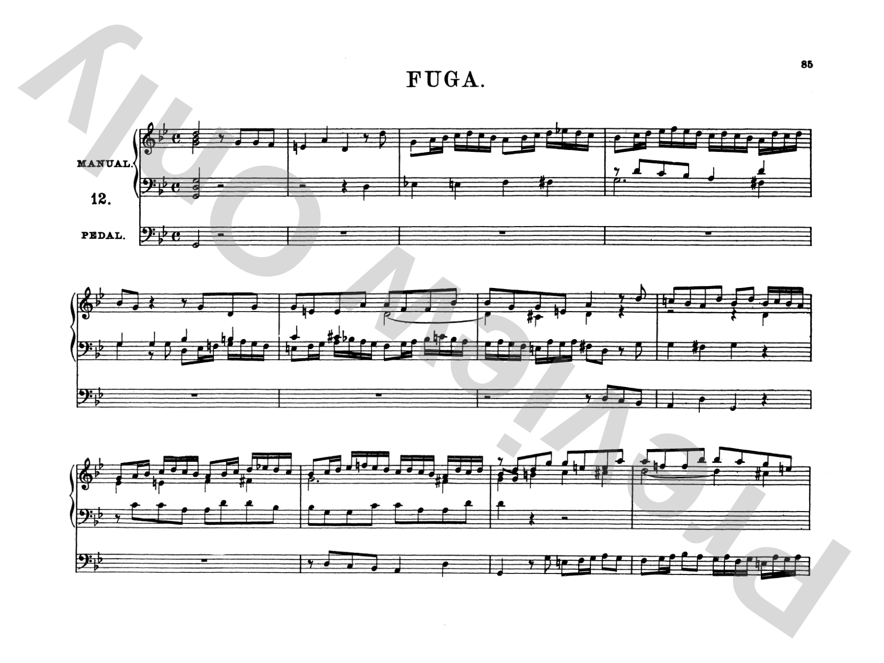 Bach: Complete Organ Works, Volume VIII
