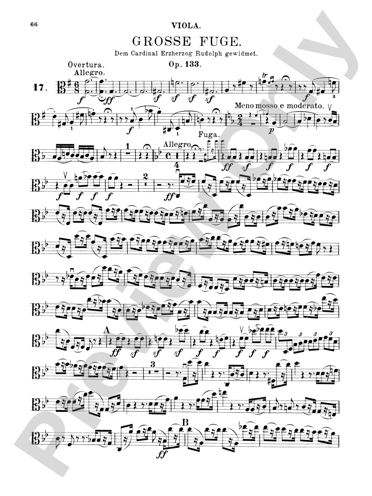 Beethoven: String Quartets, Volume III