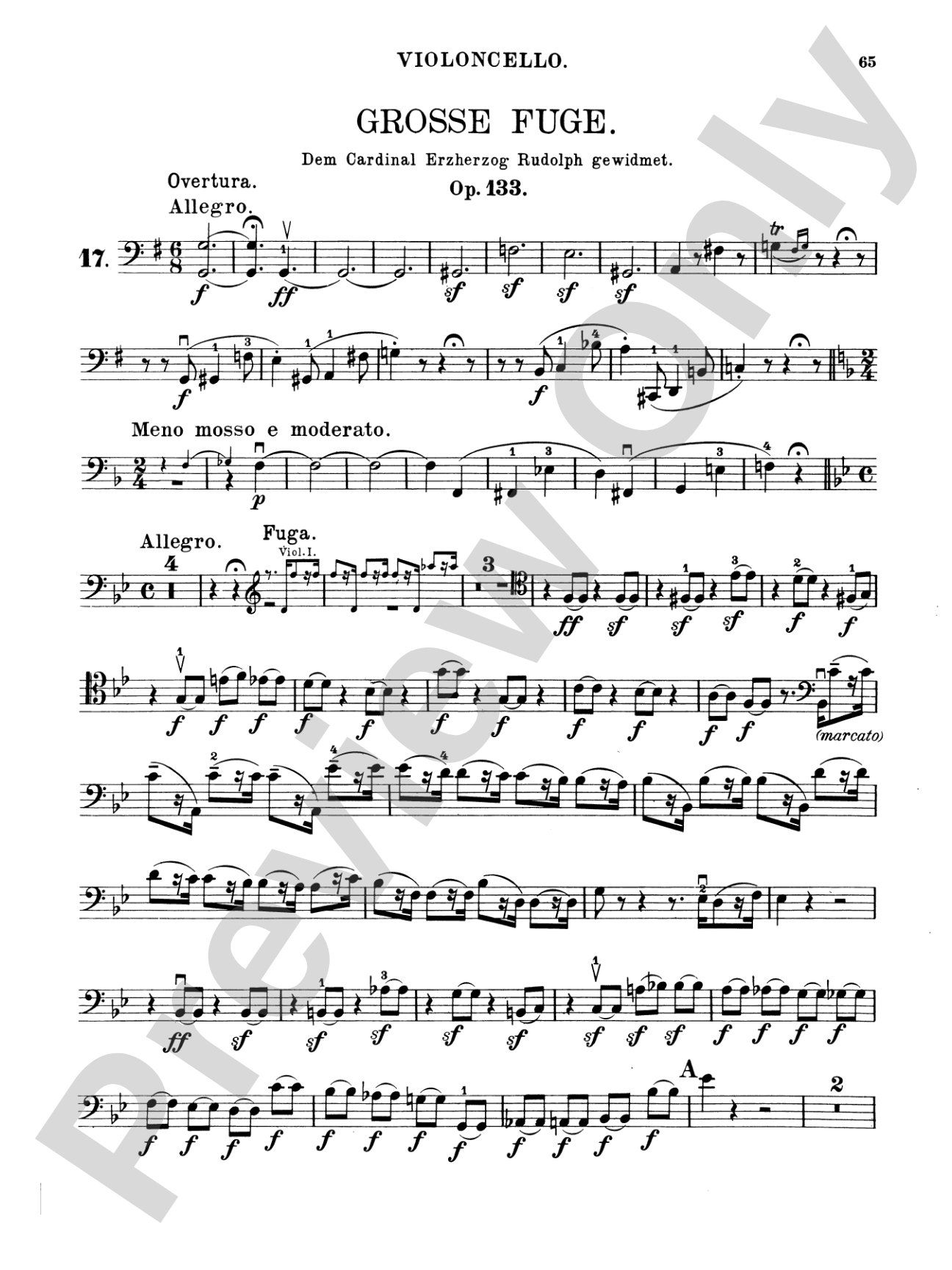 Beethoven: String Quartets, Volume III
