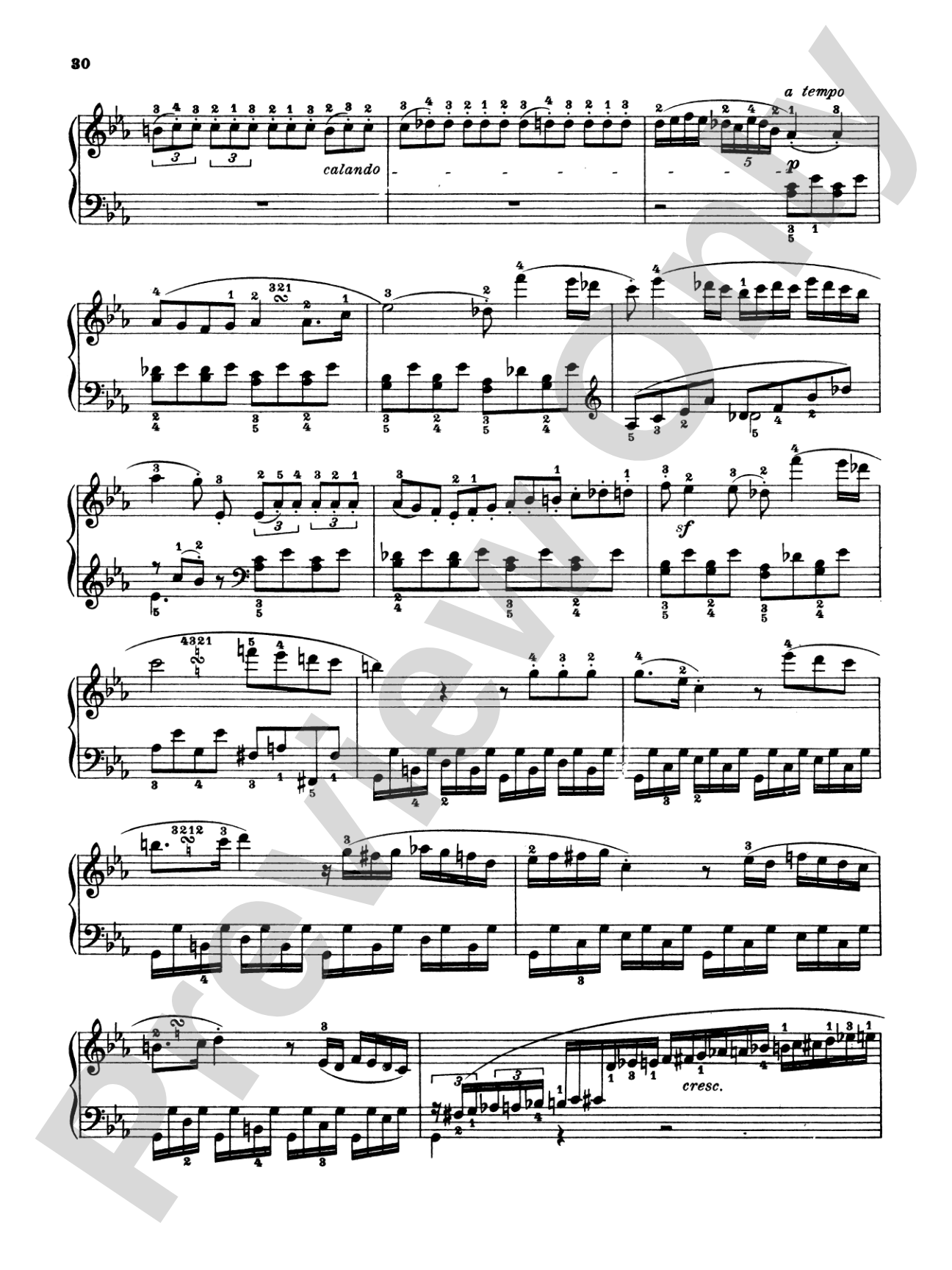 Beethoven: Various Piano Works, Including Complete Bagatelles