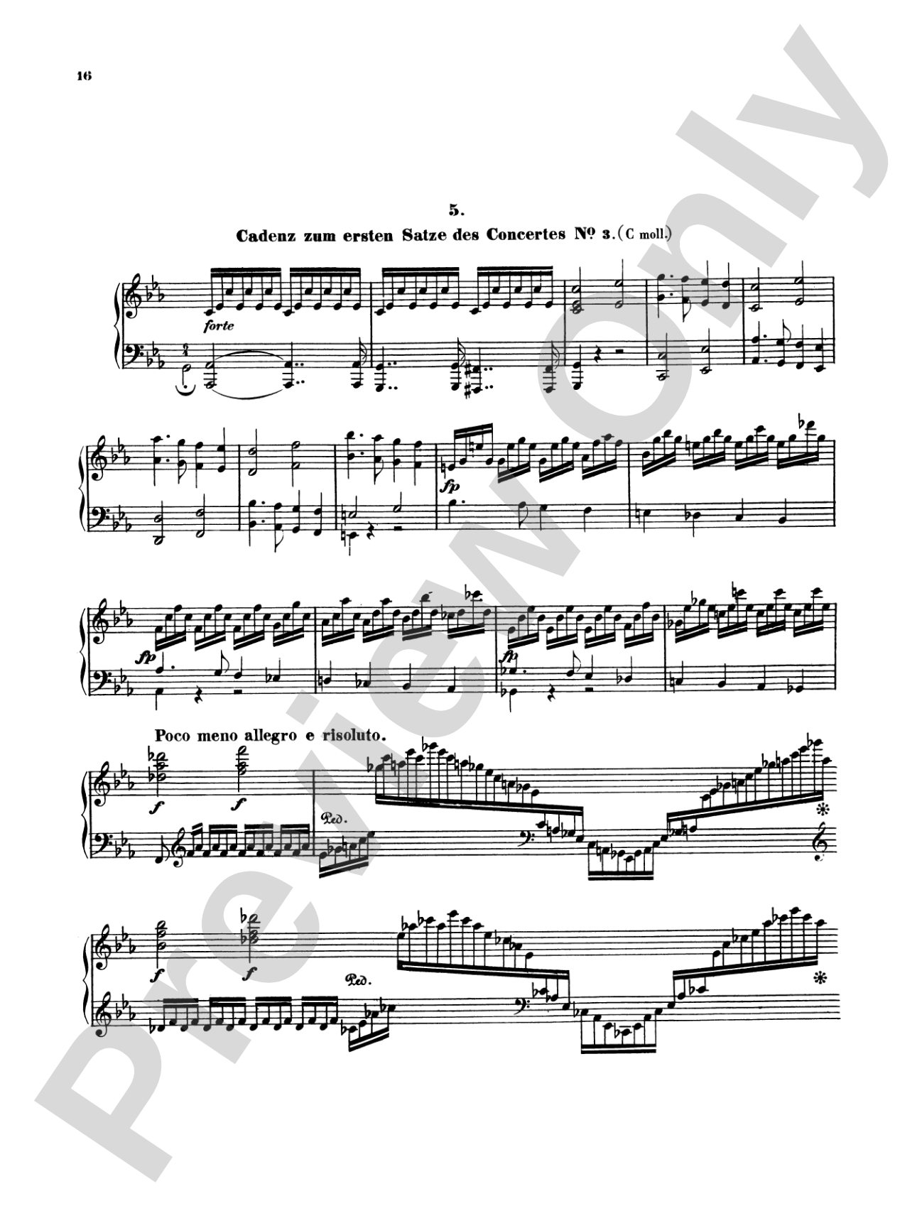 Beethoven: Cadenzas to the Piano Concerti