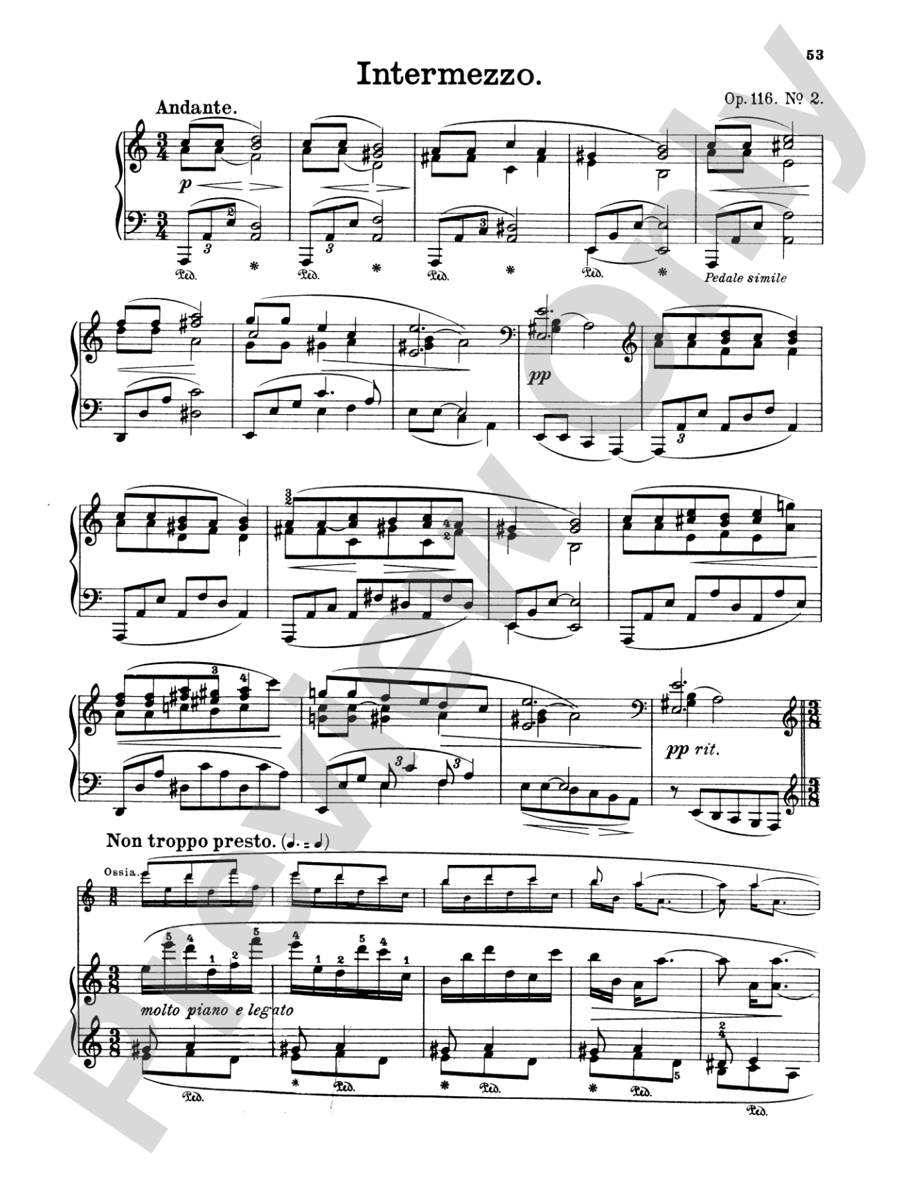 Brahms: Piano Works (Volume II: Op. 76-119 & 5 Etudes)