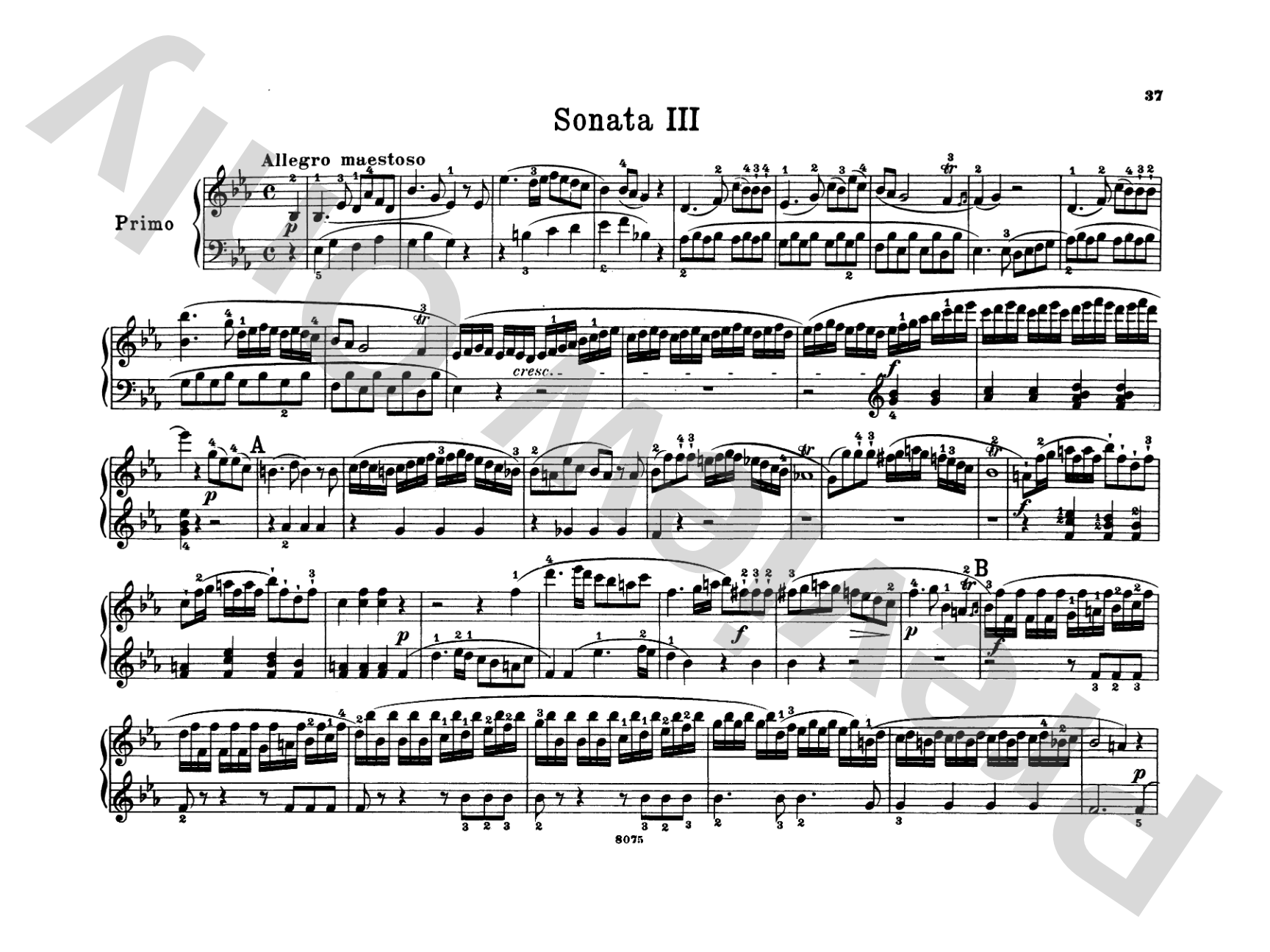 Clementi: Sonatas