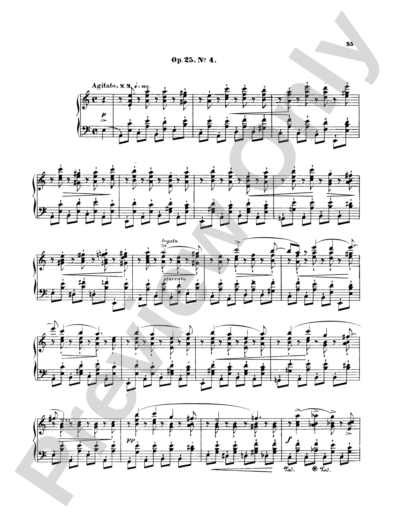 Chopin: Twenty-Seven Etudes (Ed. Franz Liszt)