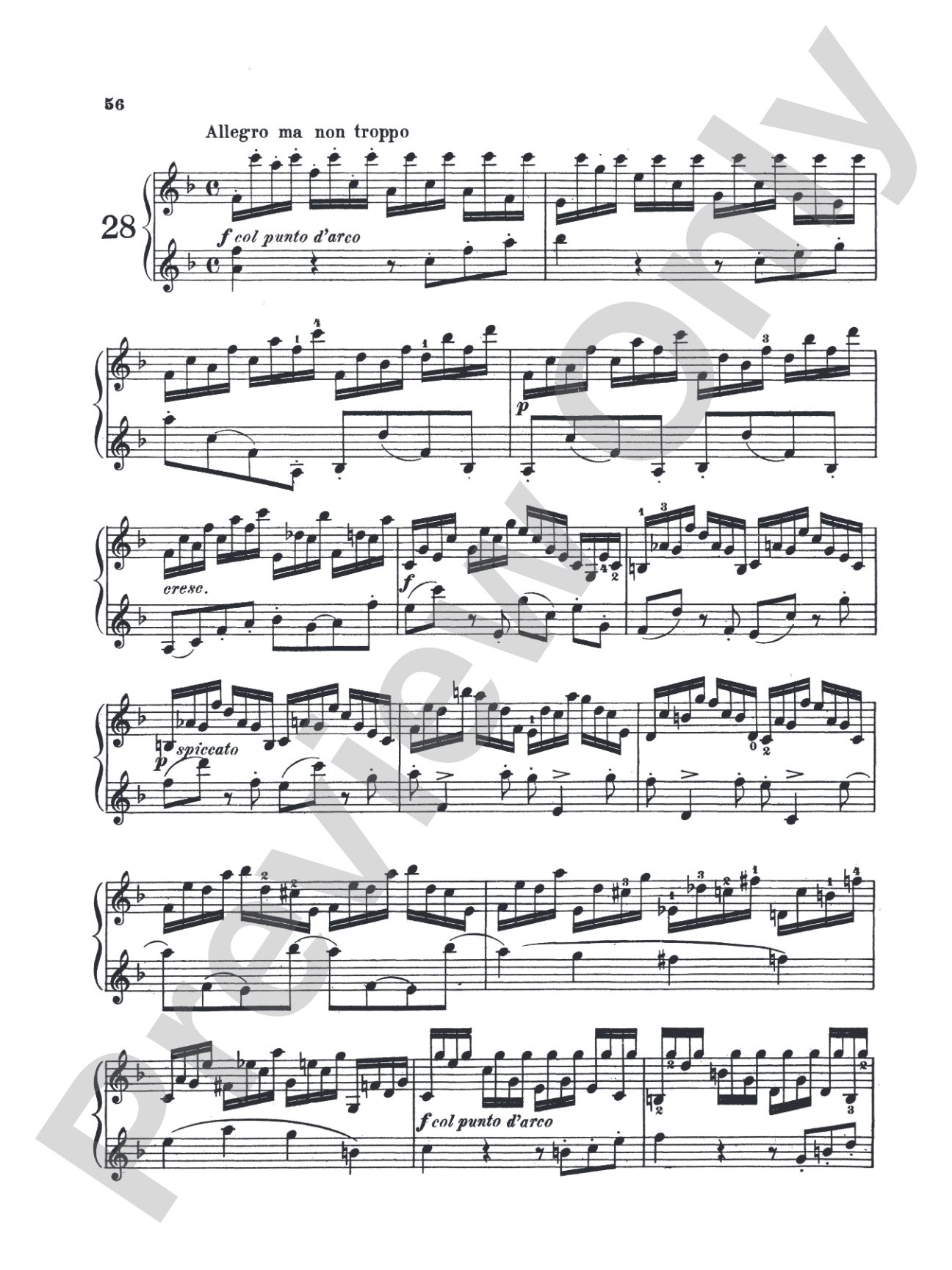 Dont: Thirty Progressive Exercises, Op. 38