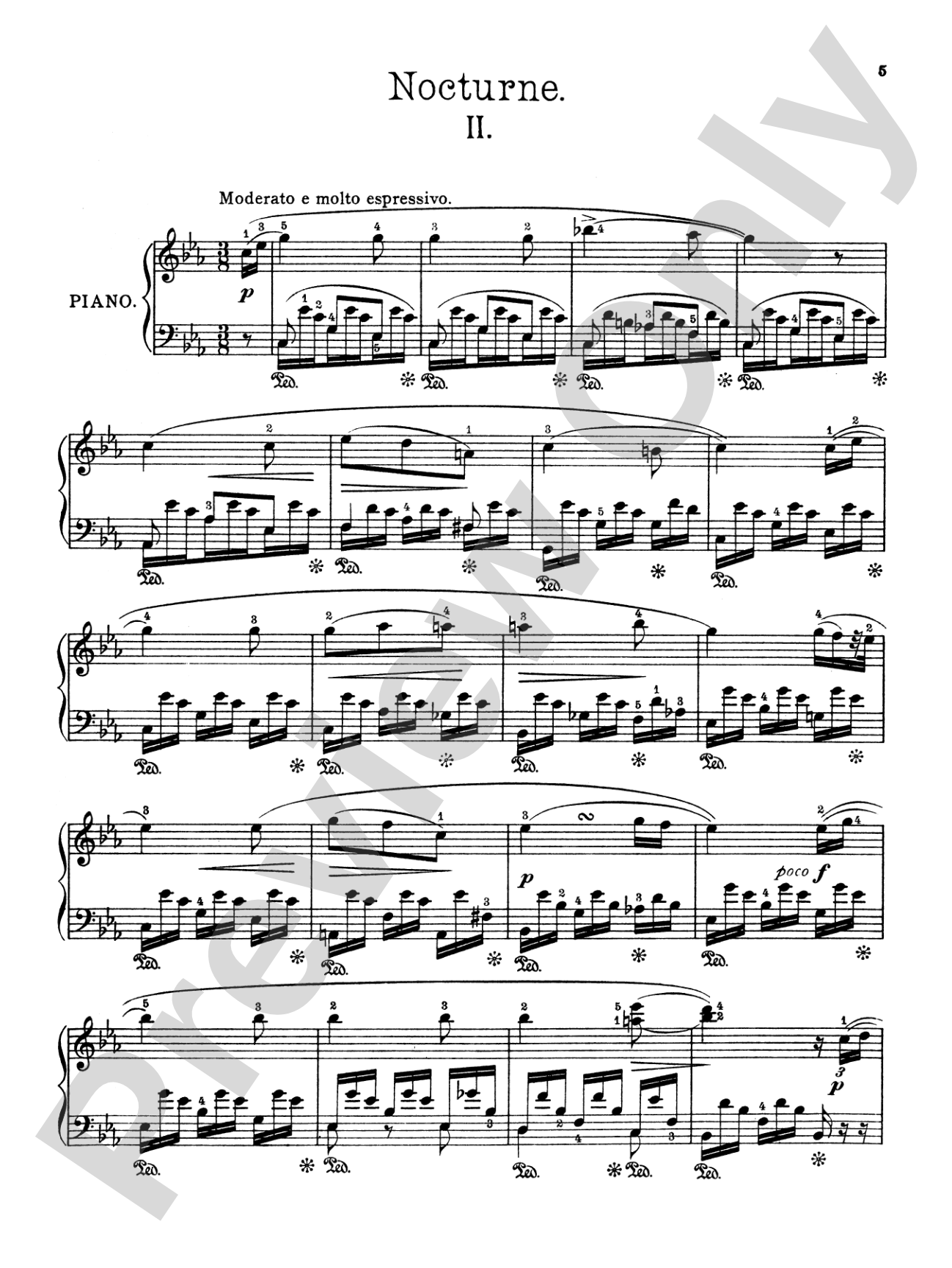 Field: Nine Nocturnes