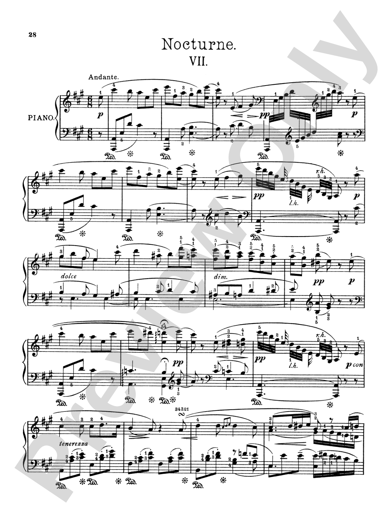 Field: Nine Nocturnes