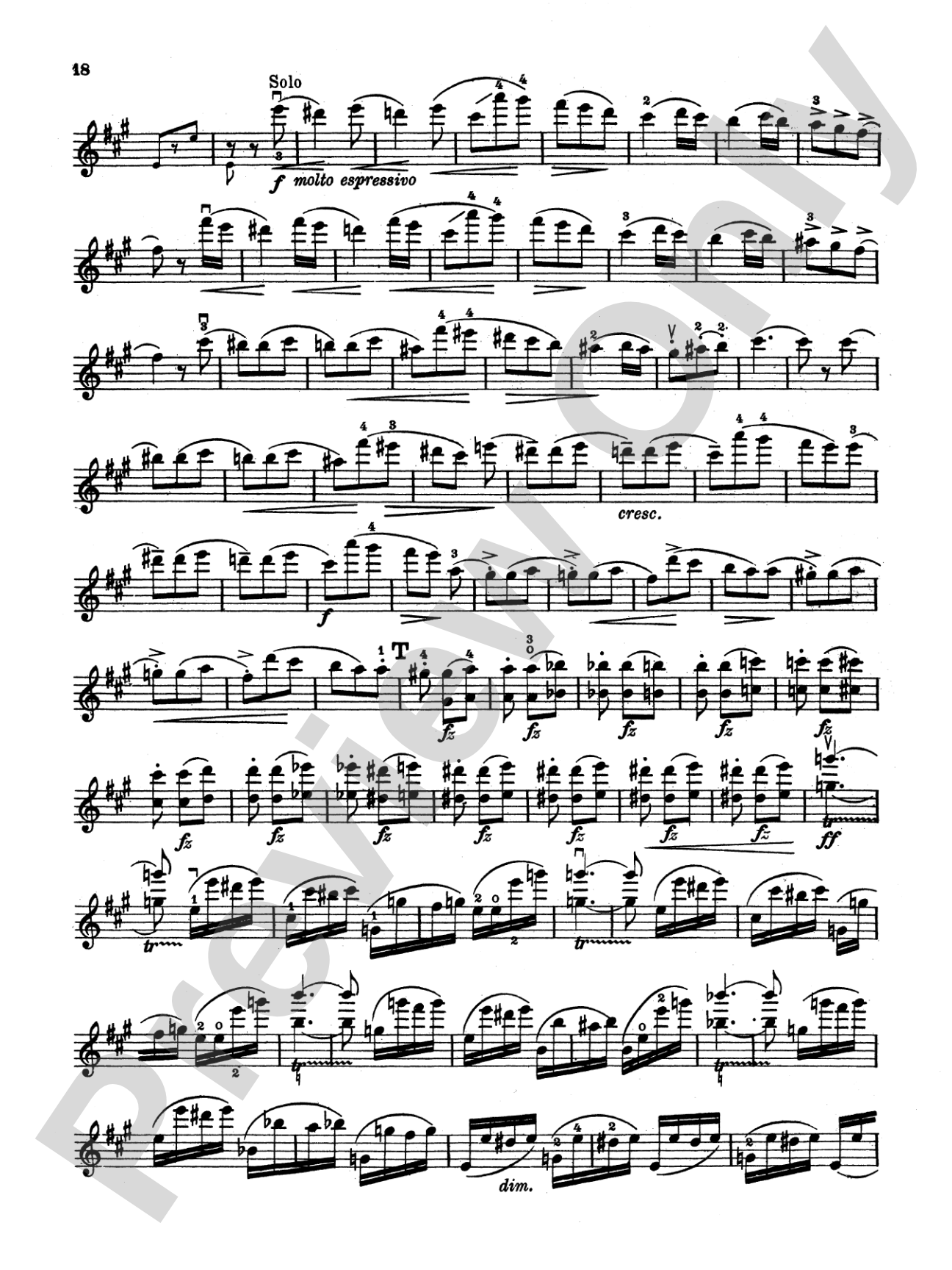 Dvorák: Violin Concerto in A Minor, Op. 53: Violin Book