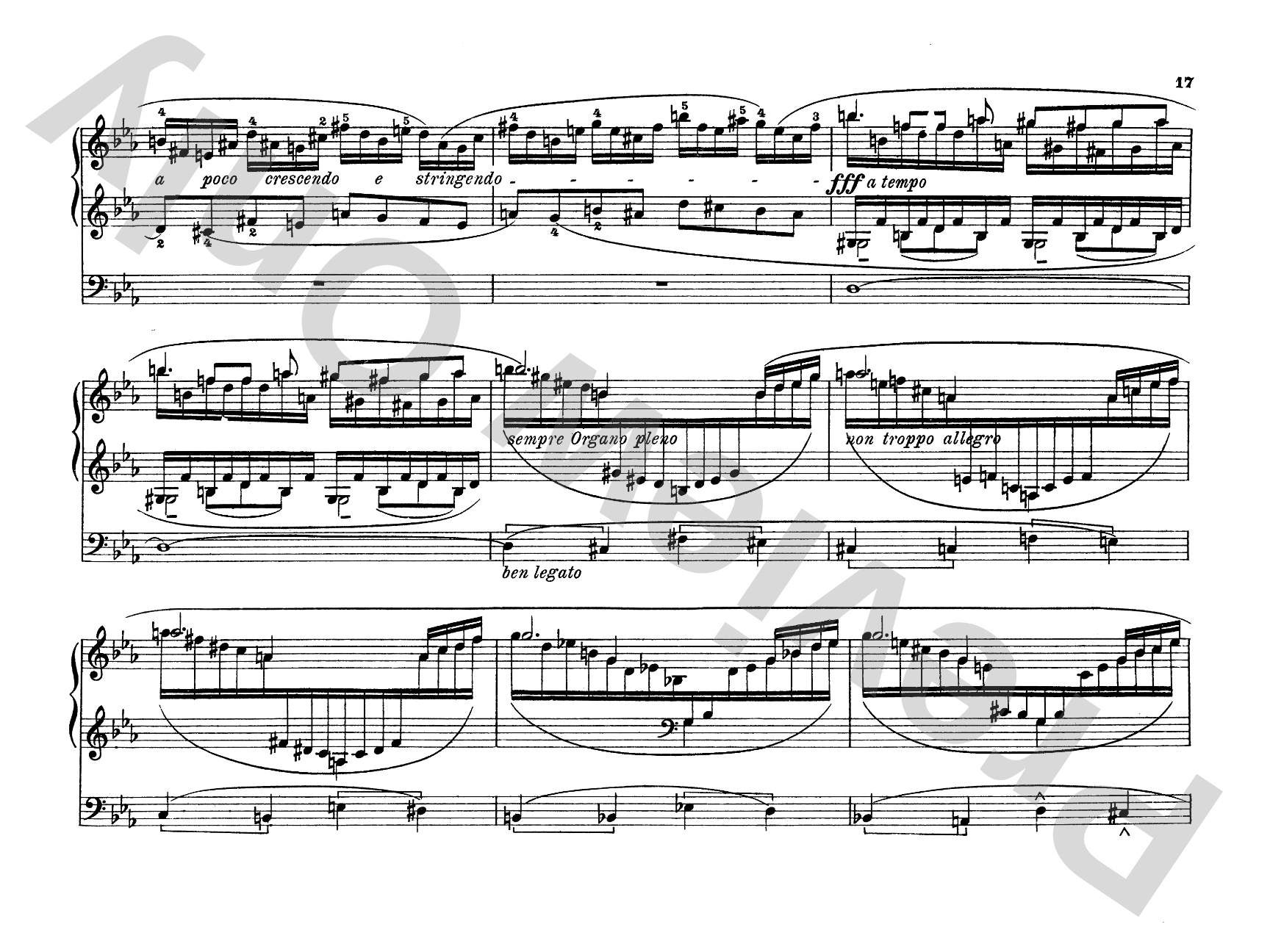 Liszt: Organ Works, Volume II: Organ Comb Bound Book