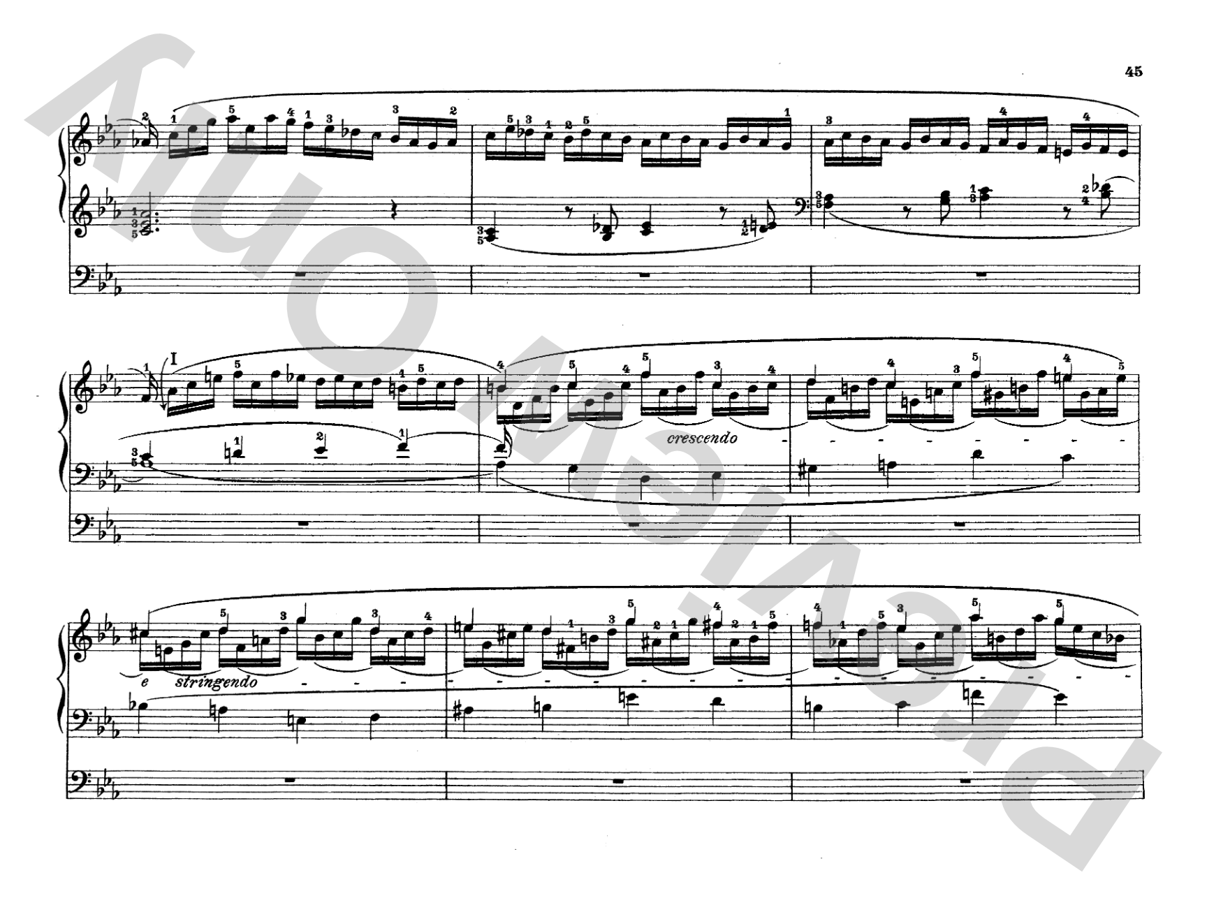 Liszt: Organ Works, Volume II: Organ Comb Bound Book