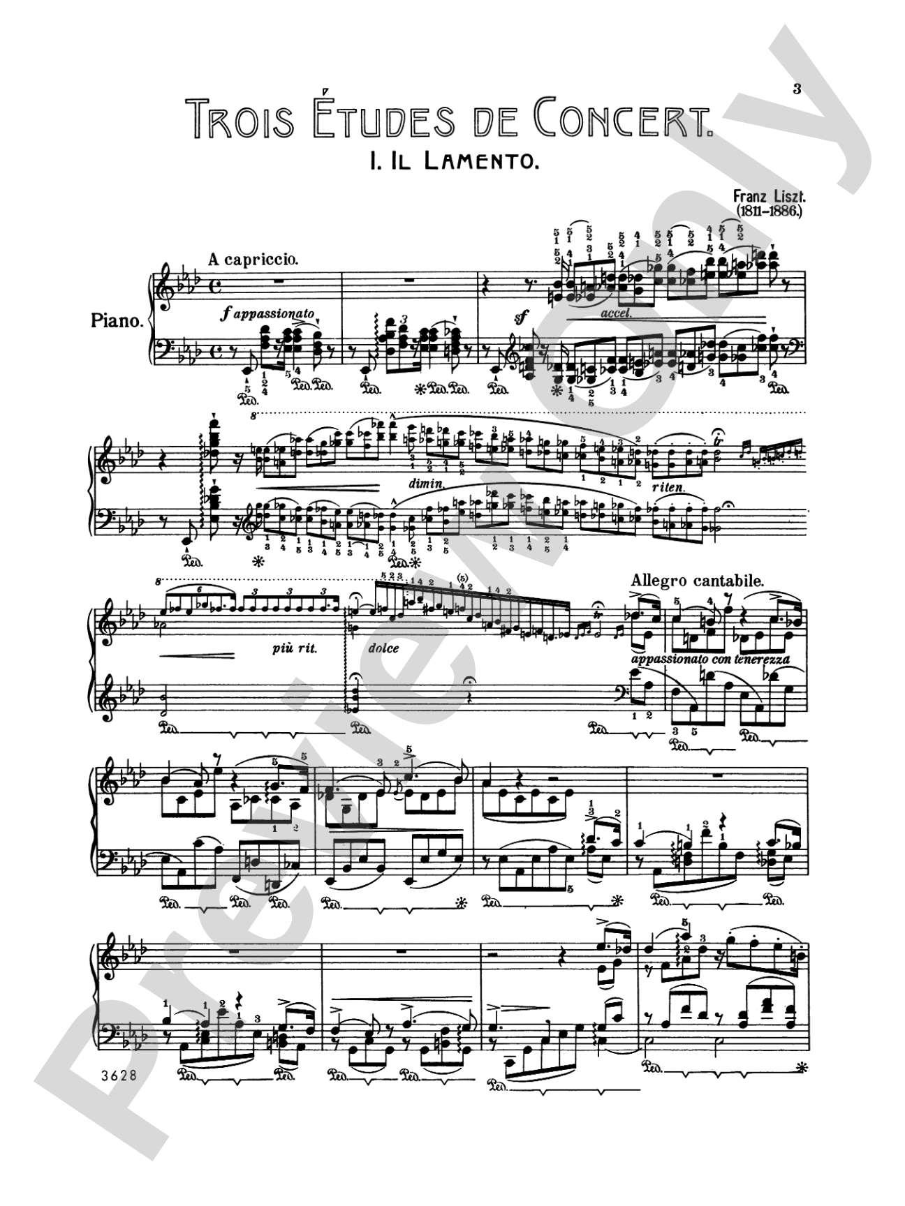 Liszt: Trois Etudes de Concert: Piano