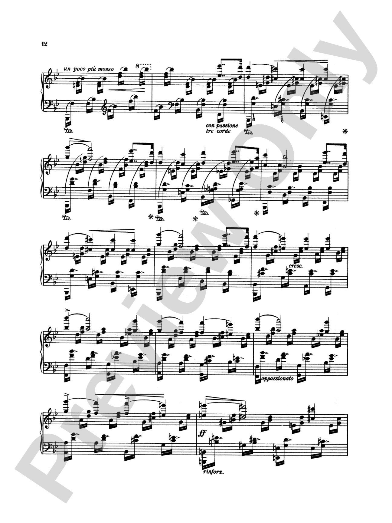 Liszt: Trois Etudes de Concert: Piano