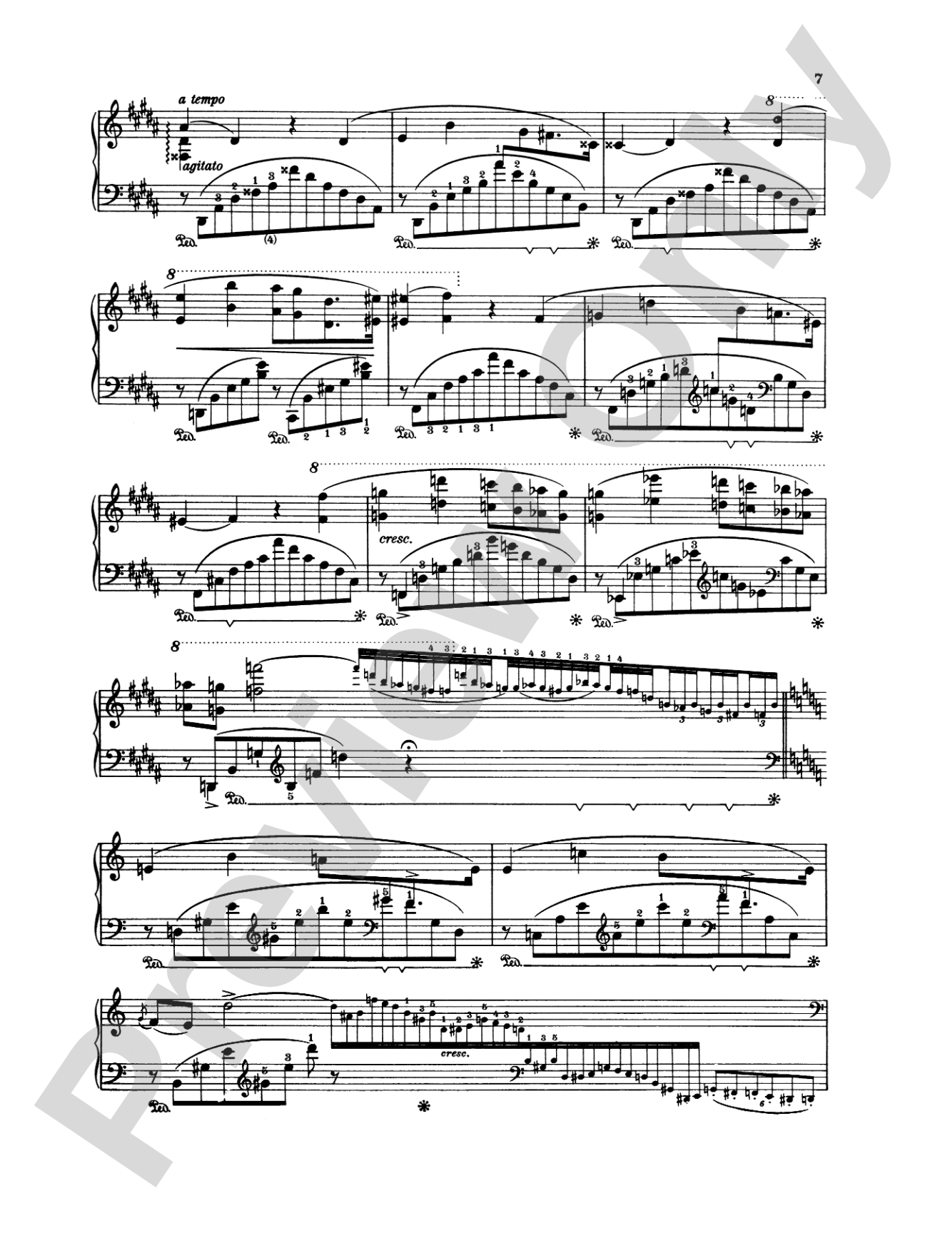 Liszt: Trois Etudes de Concert: Piano