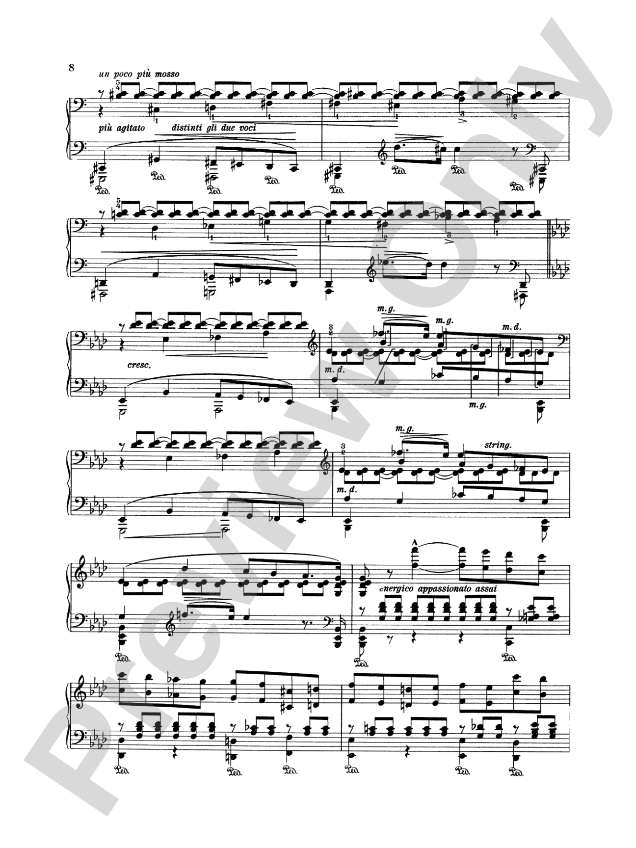 Liszt: Trois Etudes de Concert: Piano