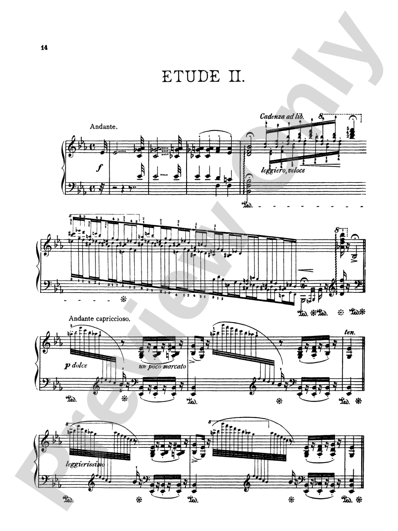Liszt: Paganini Etudes