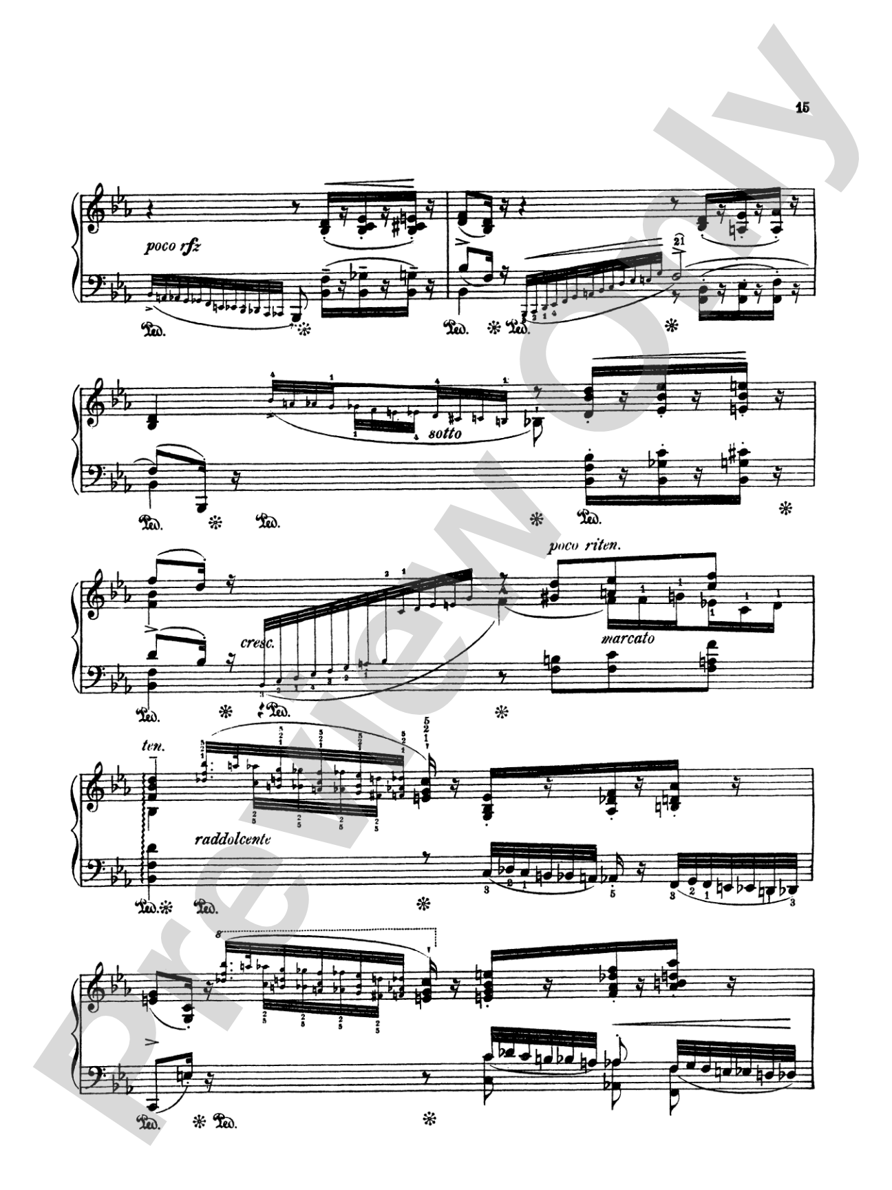 Liszt: Paganini Etudes