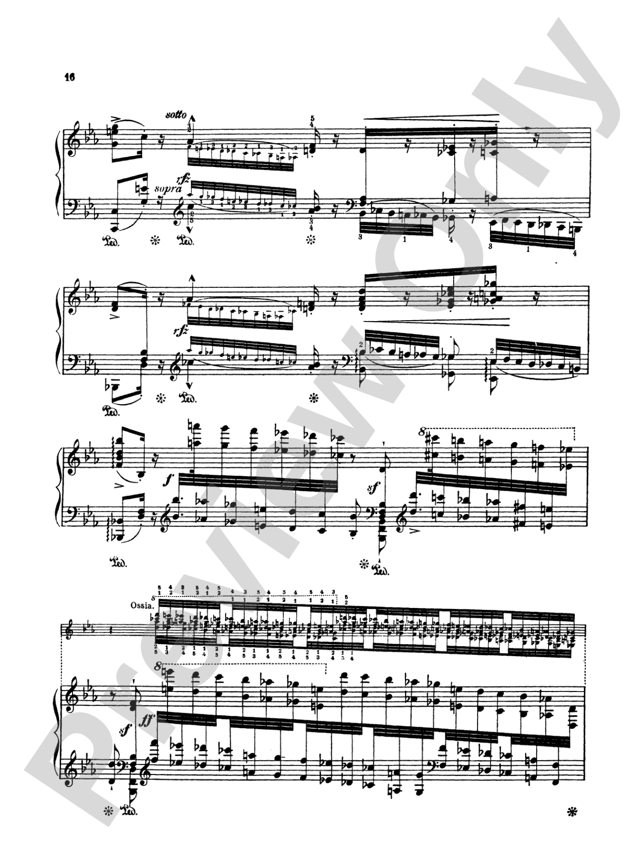 Liszt: Paganini Etudes