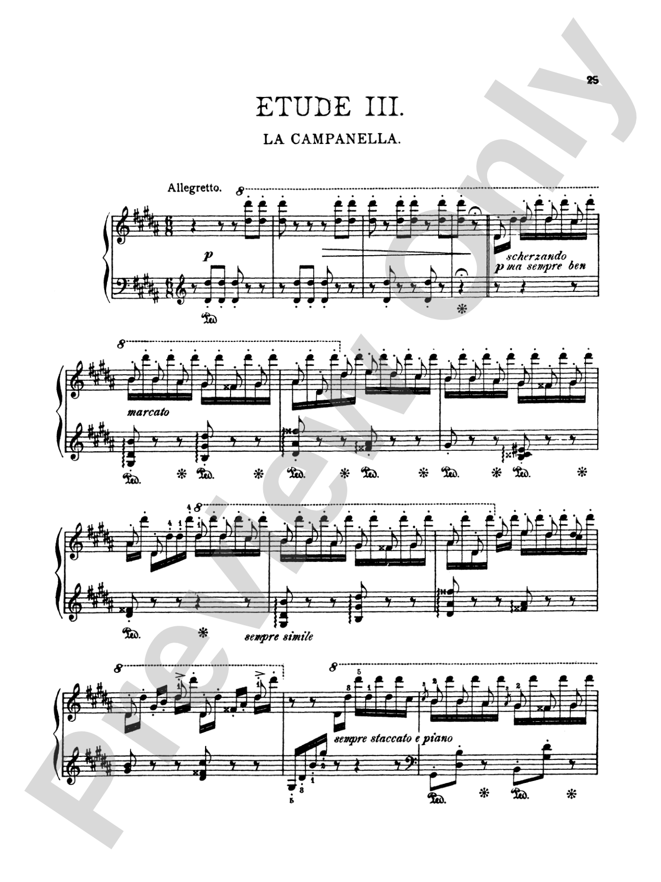 Liszt: Paganini Etudes