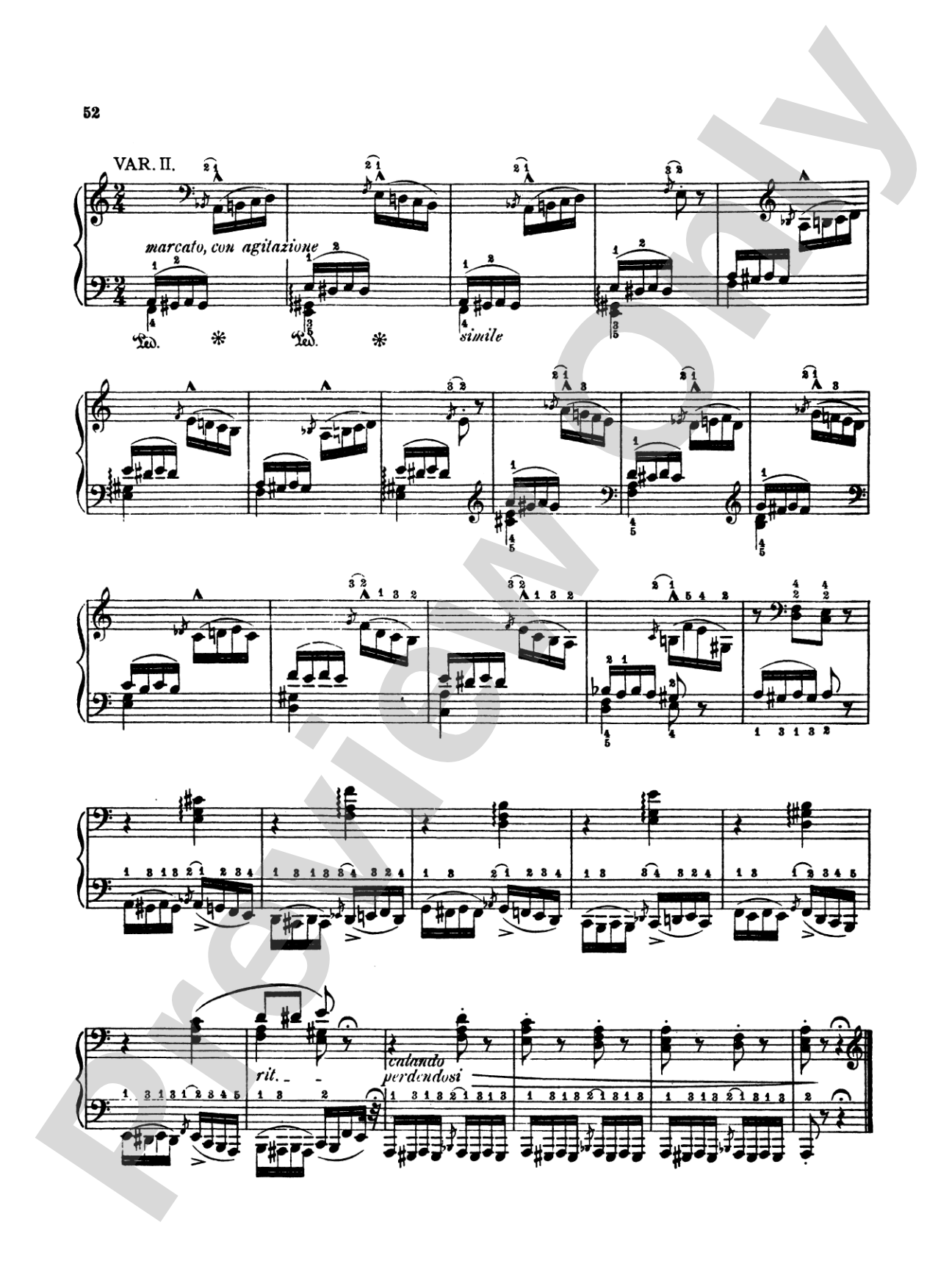 Liszt: Paganini Etudes