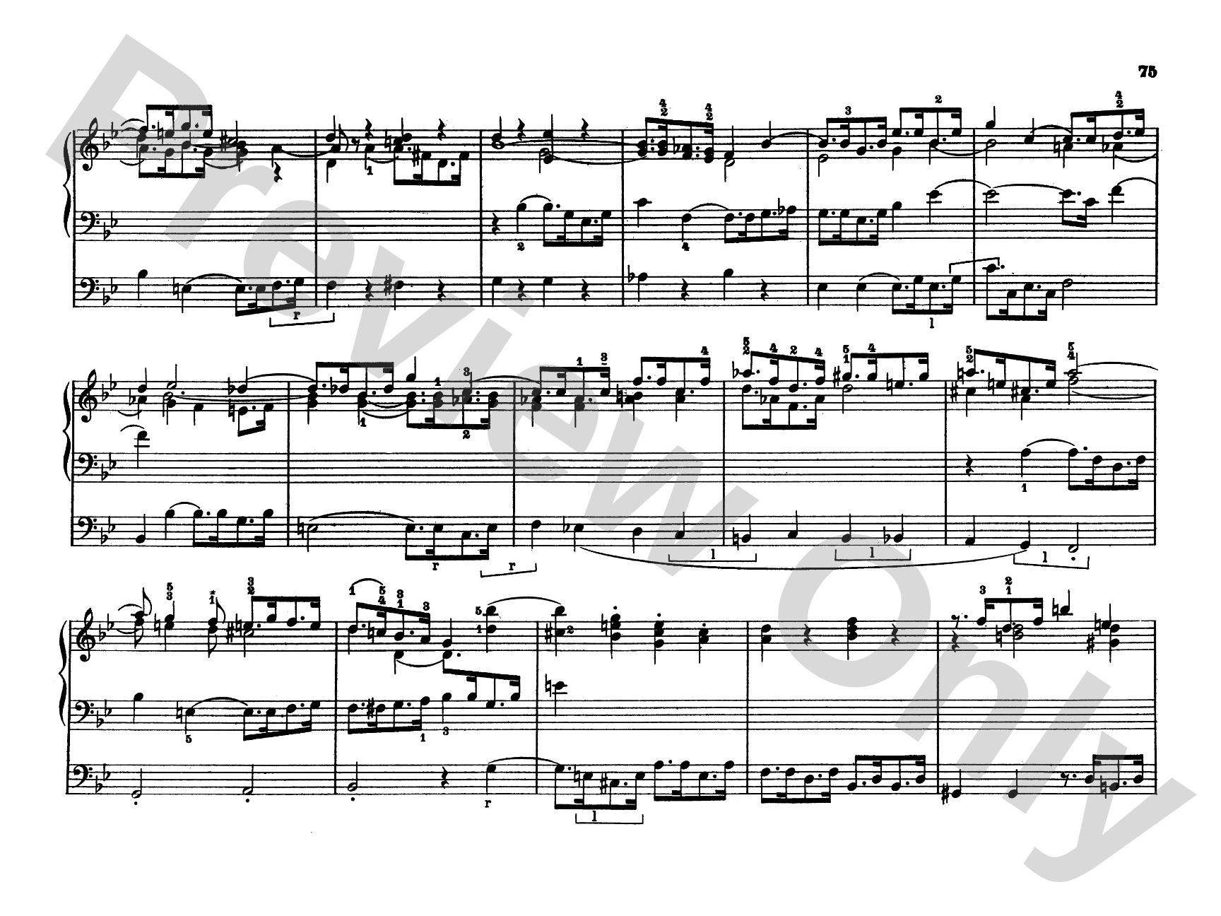 Mendelssohn: Organ Works