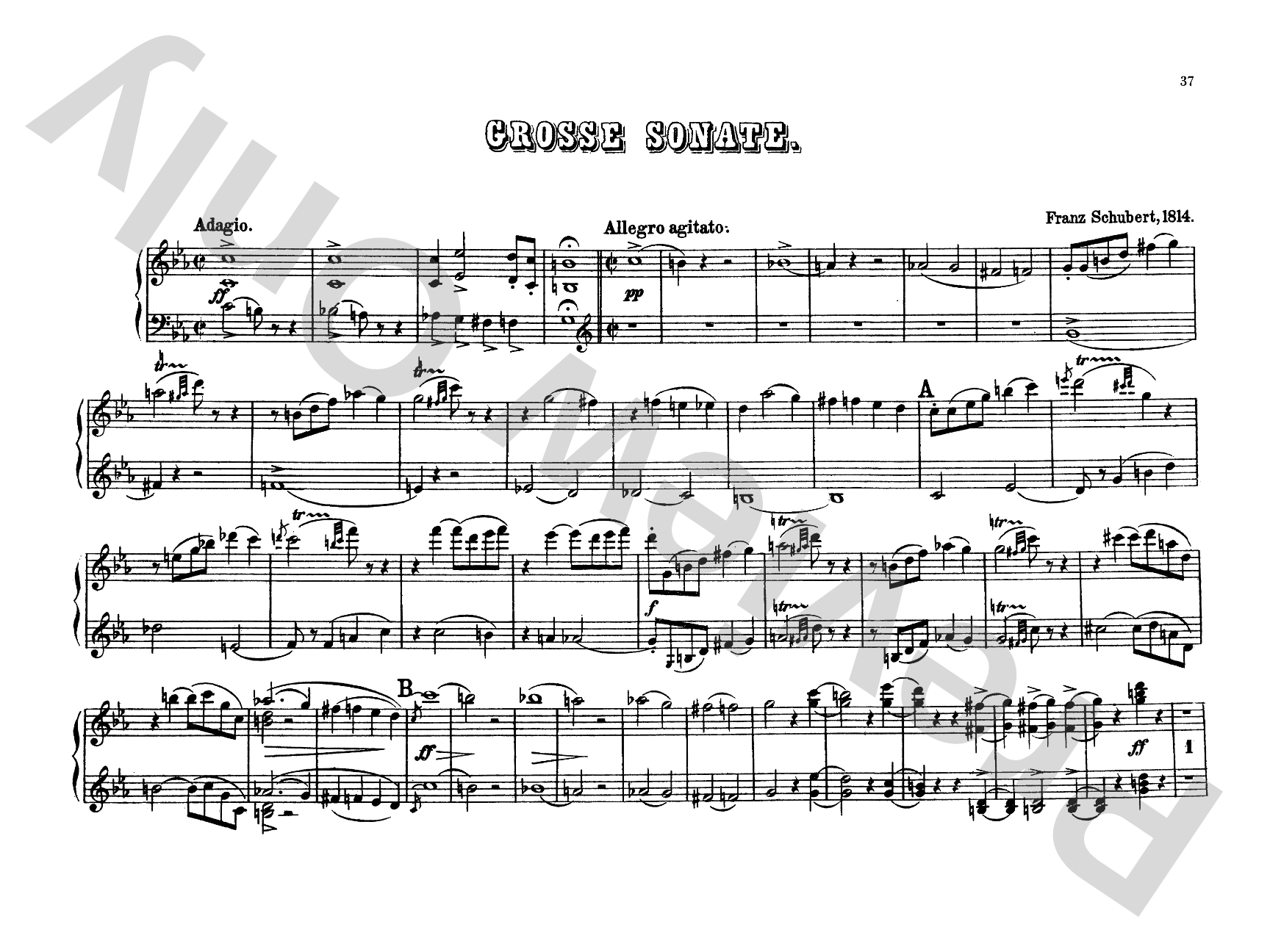 Schubert: Original Compositions for Four Hands, Volume V