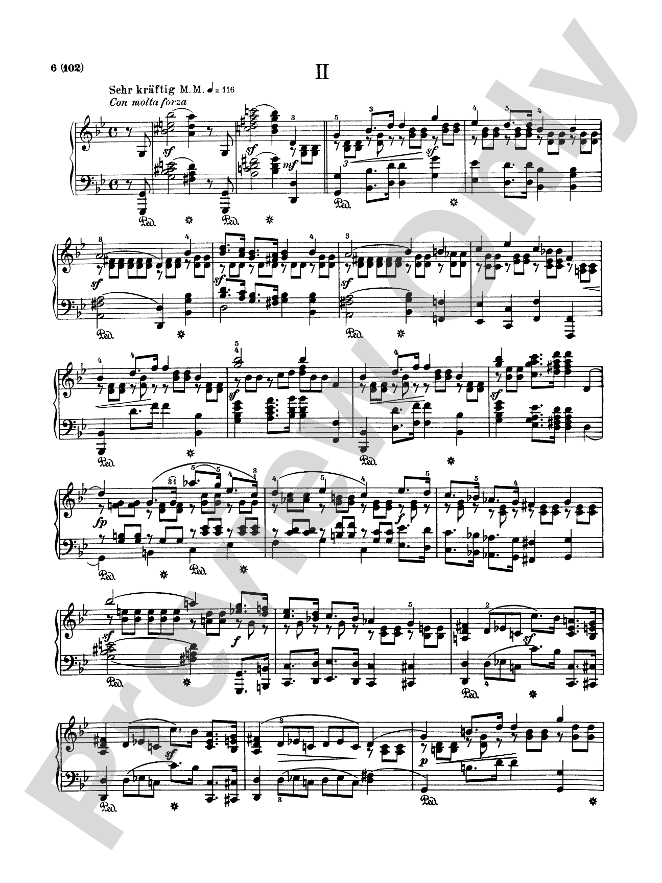 Schumann: Complete Works (Volume V)