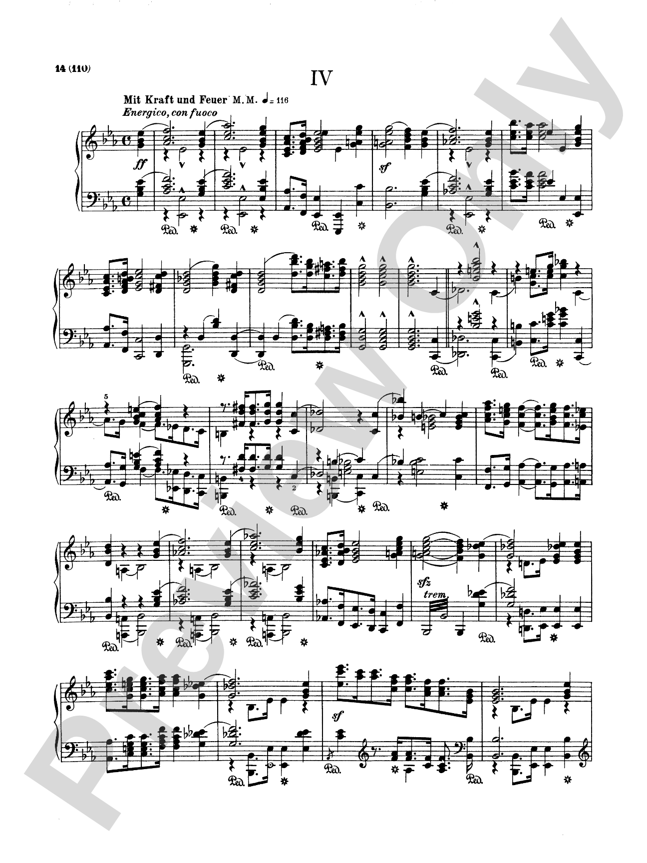 Schumann: Complete Works (Volume V)