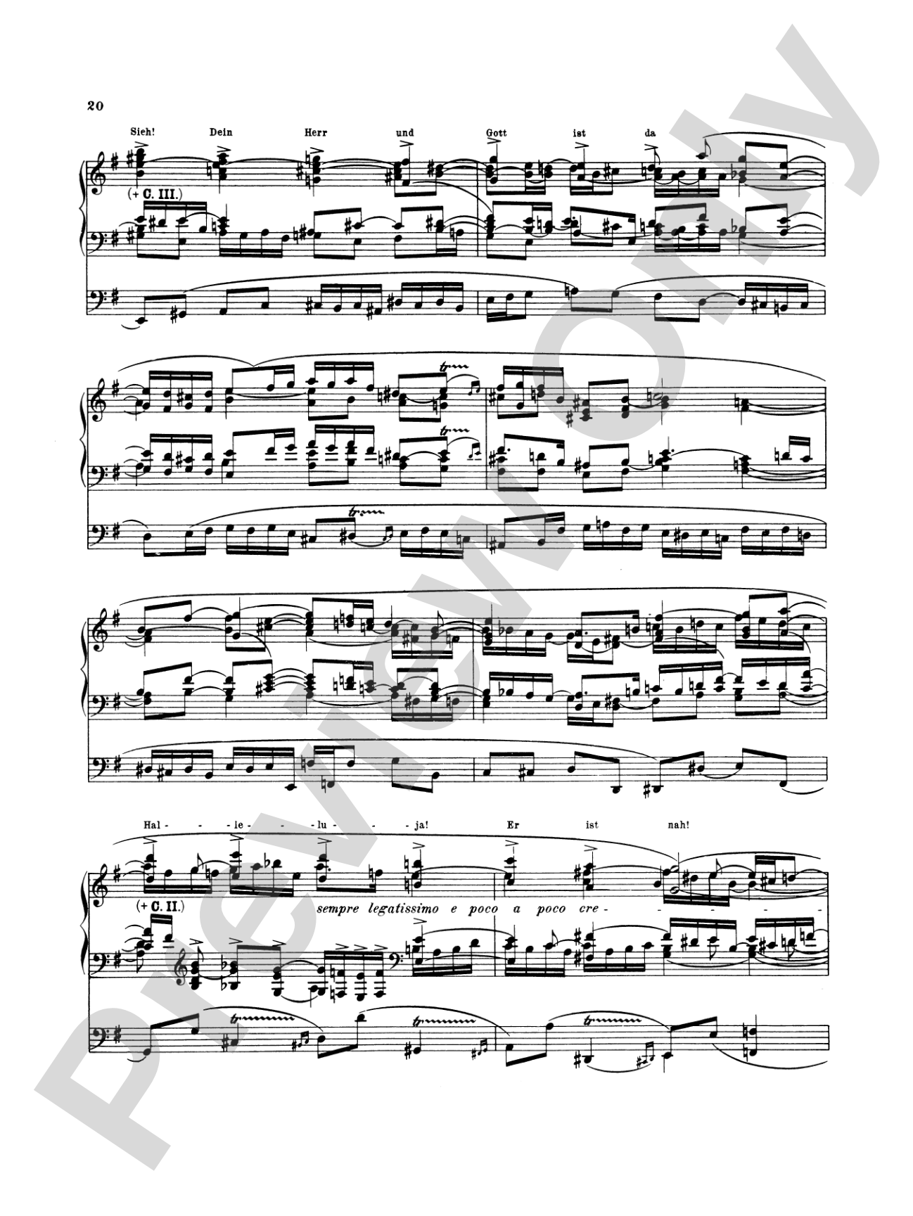 Reger: Fantasy on the Choral "Hallelujah! Gott Zu Loben, Bleibe Meine Seelenfreud", Op. 52, No. 3: Organ Sheet