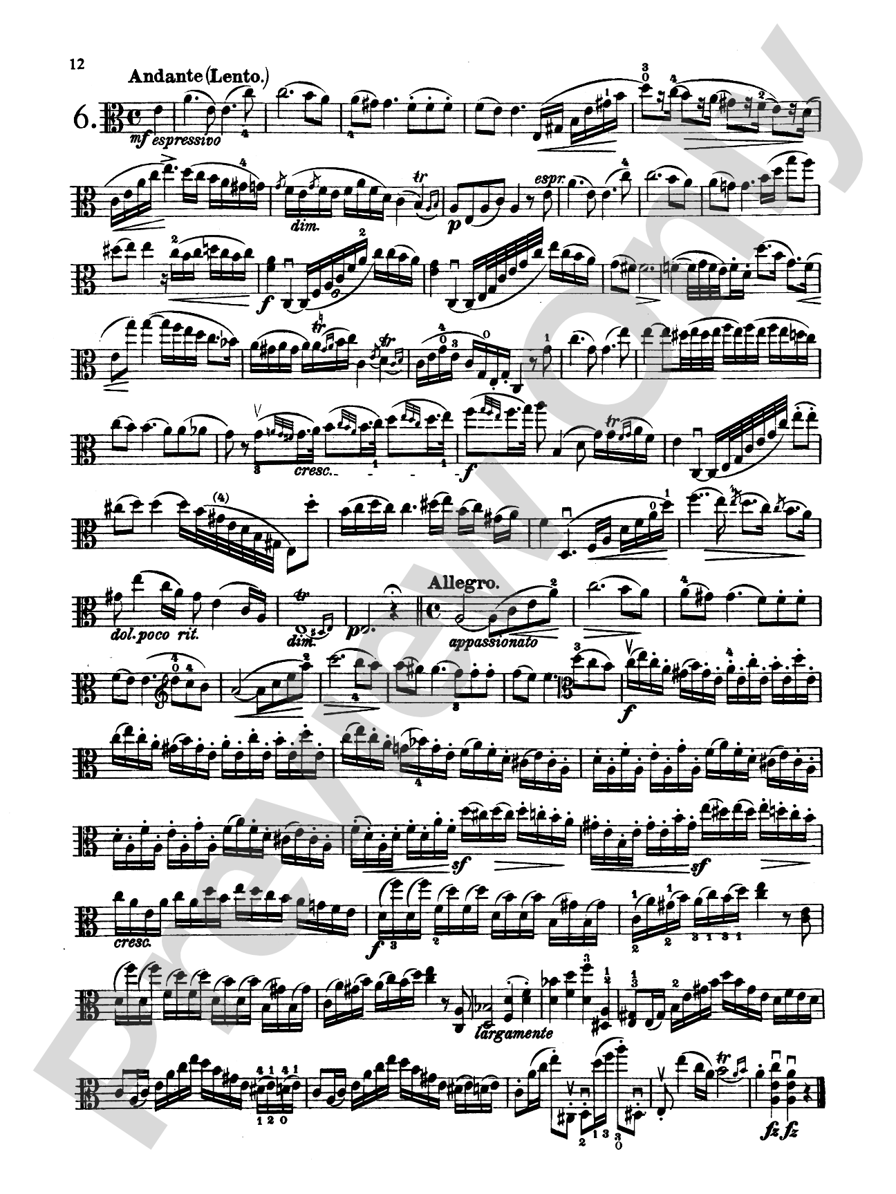 Hoffmeister: Studies