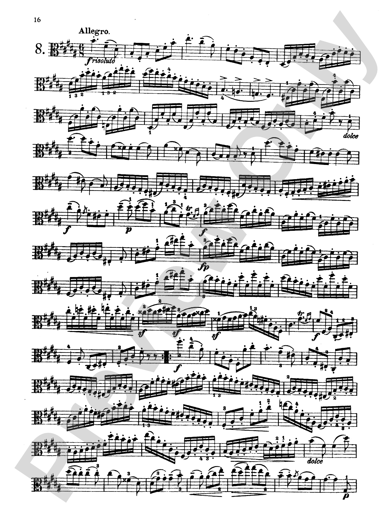 Hoffmeister: Studies