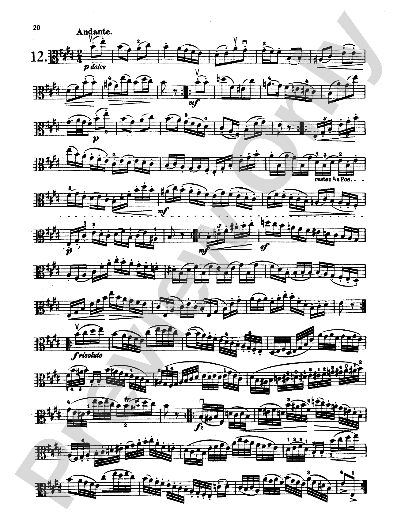 Hoffmeister: Studies