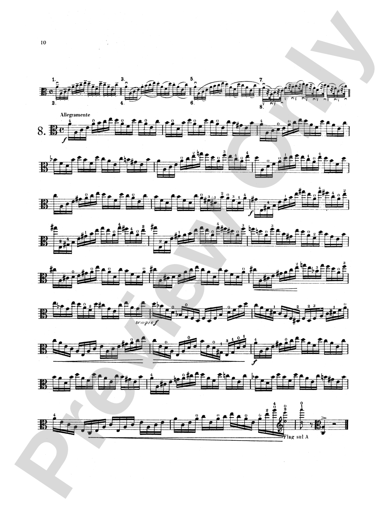 Palaschko: Twelve Studies, Op. 55